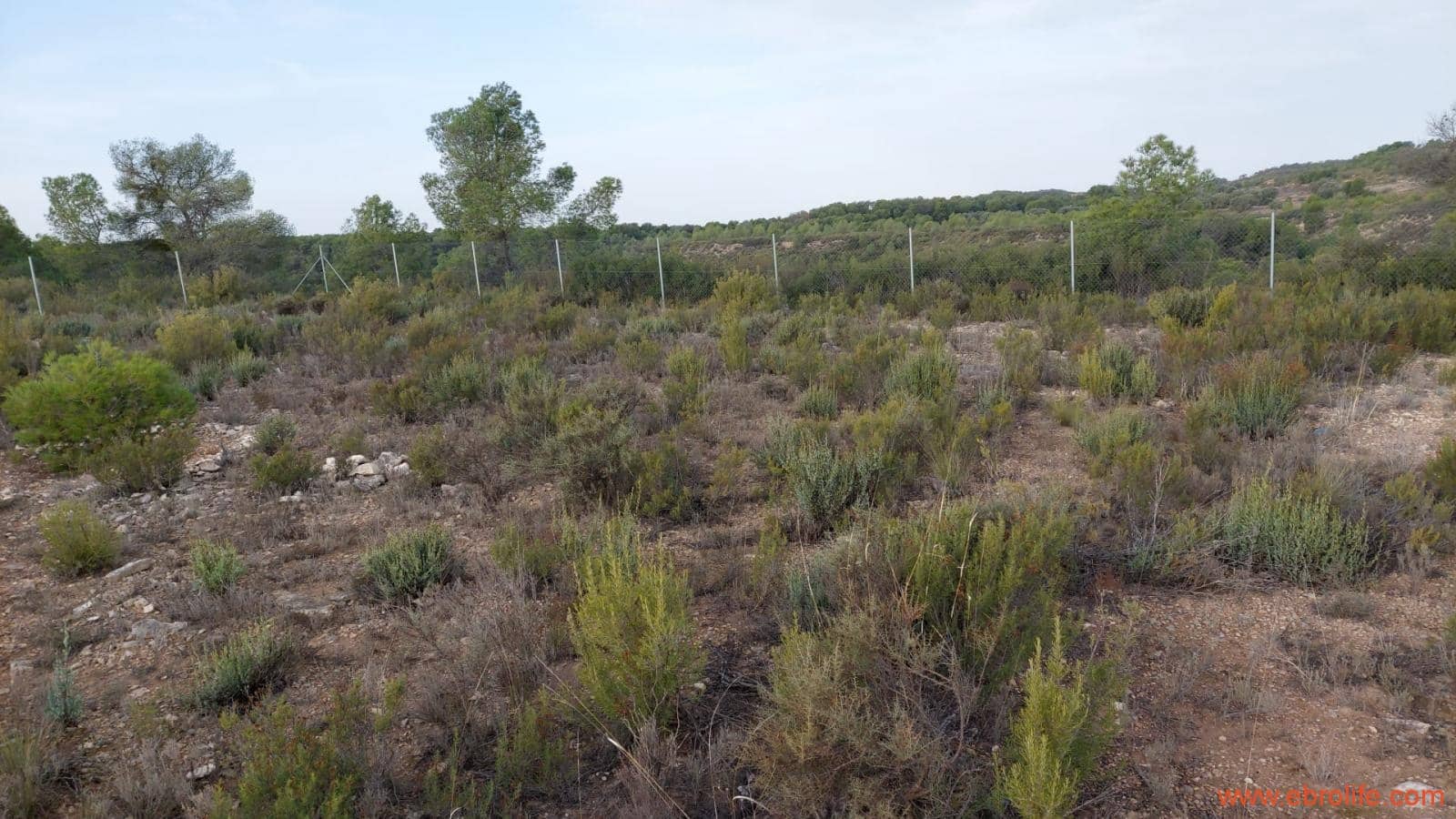 1 soverom Finca/Herregård til salgs i Nonaspe - € 48 000 (Ref: 9398017)