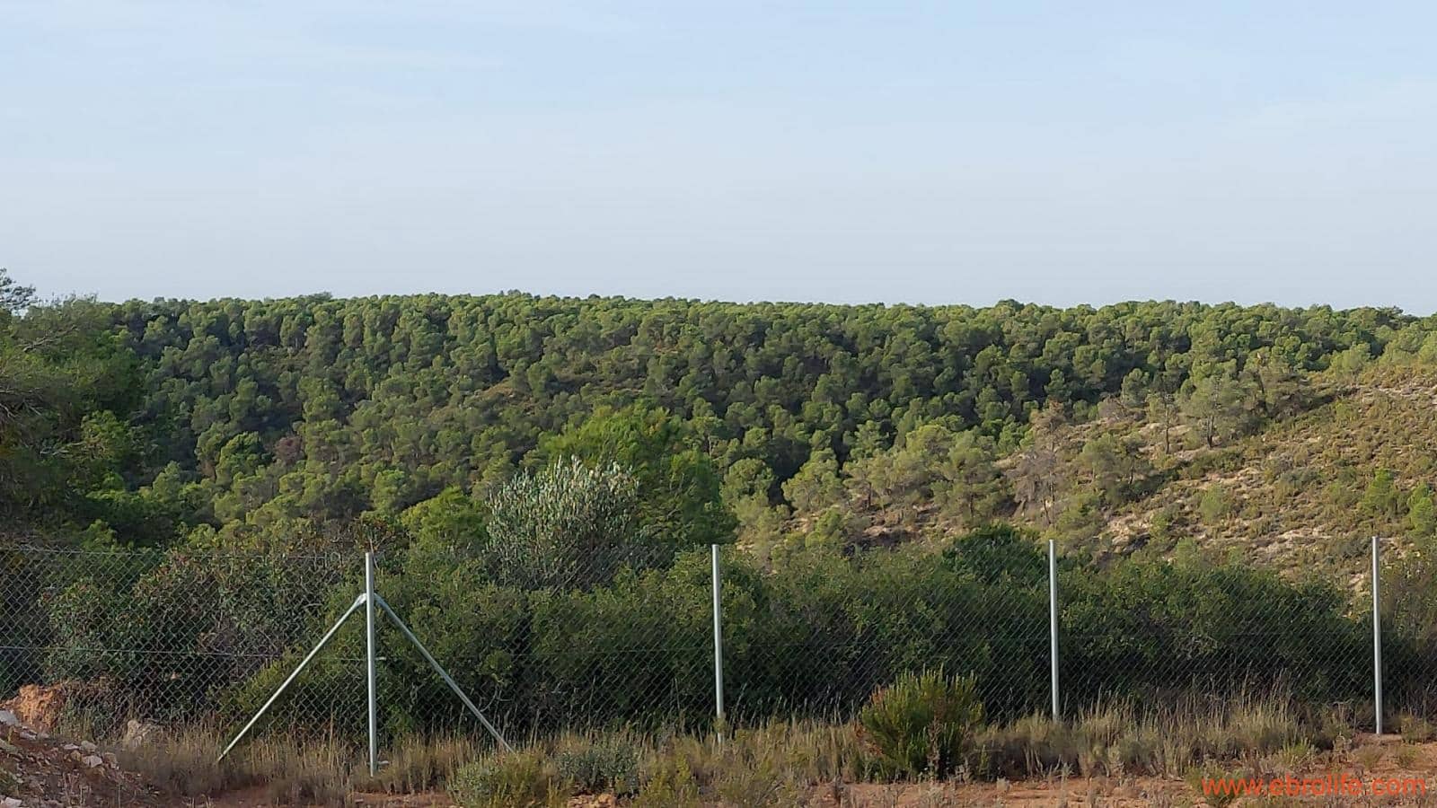 1 soverom Finca/Herregård til salgs i Nonaspe - € 48 000 (Ref: 9398017)