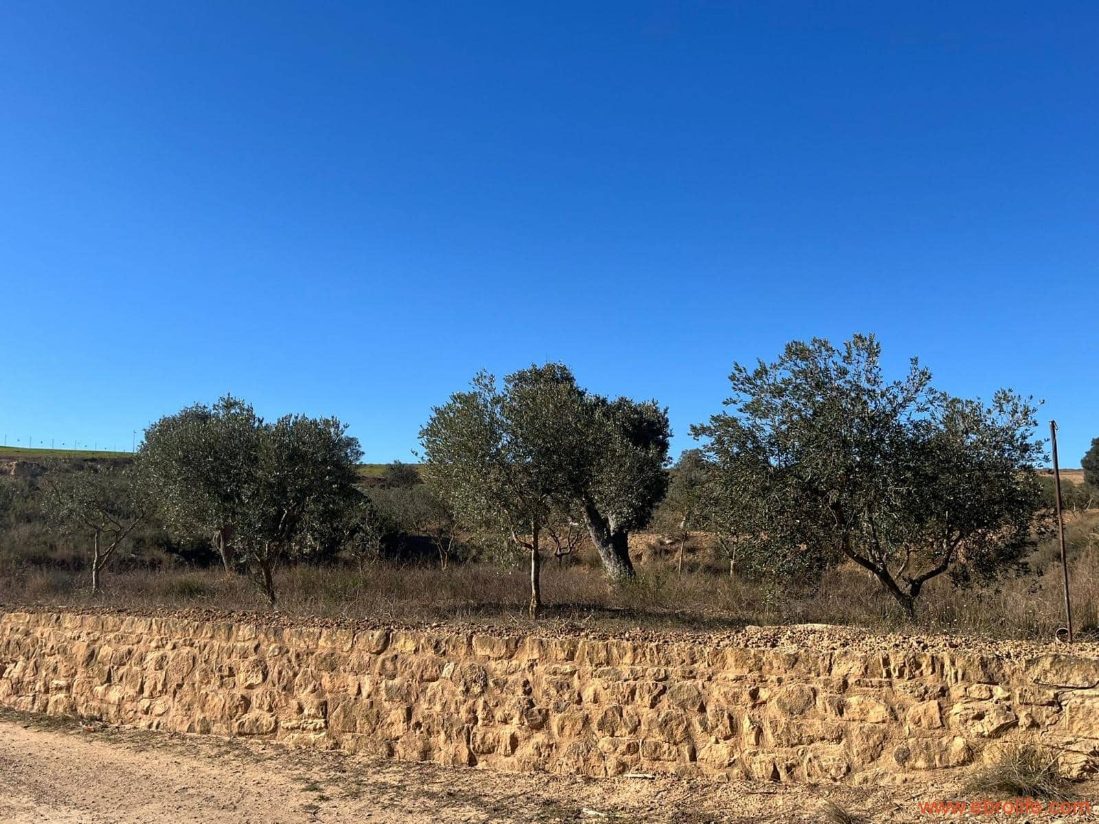 3 soverom Finca/Herregård til salgs i Caspe - € 160 000 (Ref: 9442848)