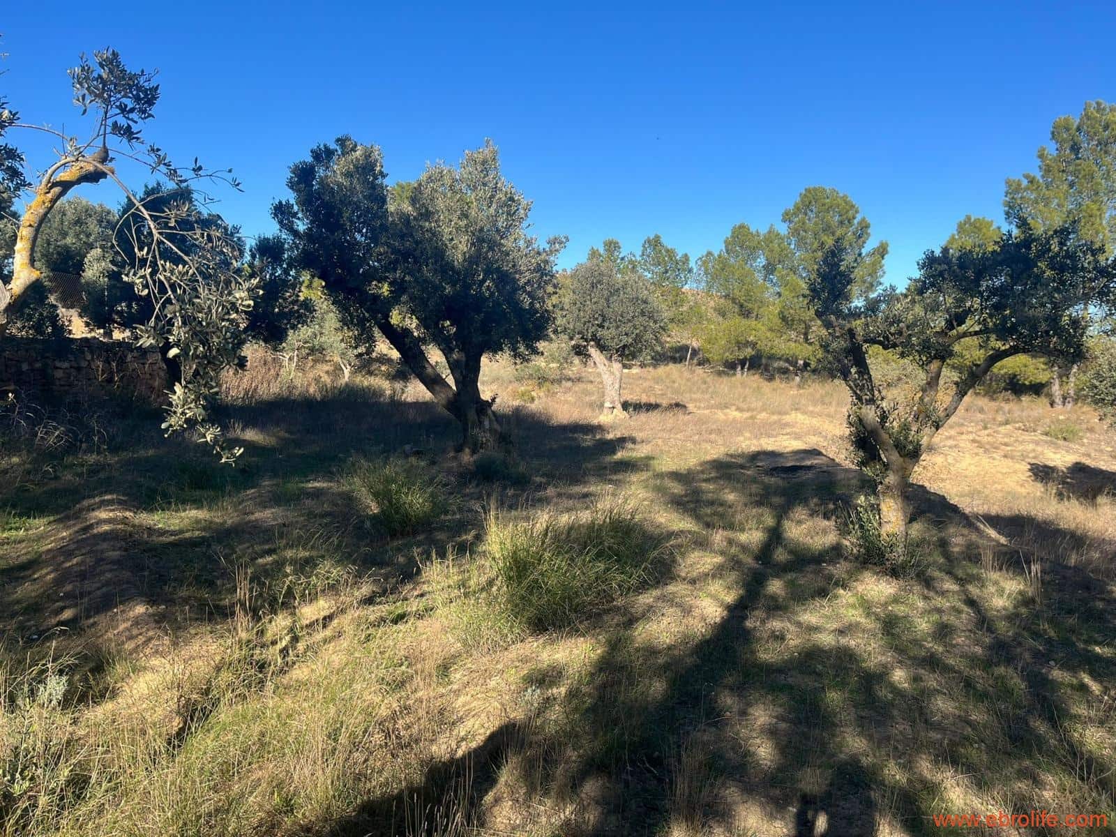 3 soverom Finca/Herregård til salgs i Caspe - € 160 000 (Ref: 9442848)