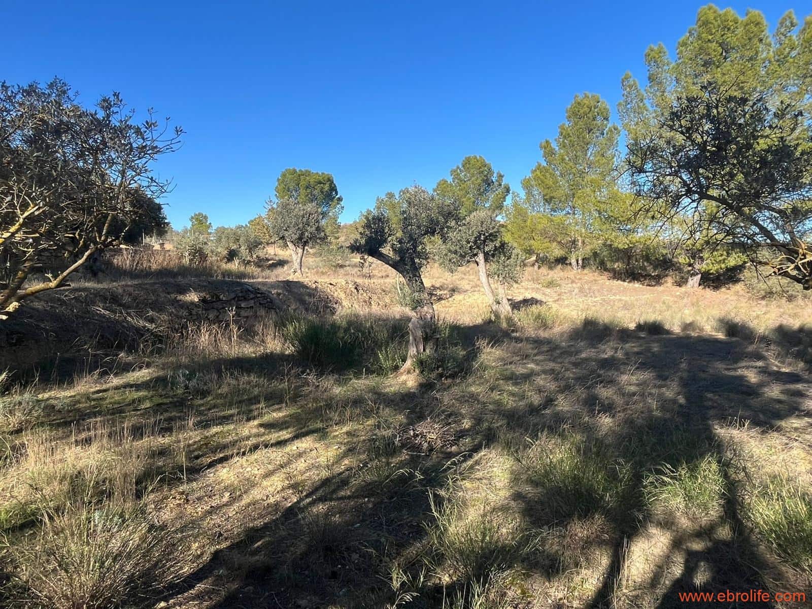 3 soverom Finca/Herregård til salgs i Caspe - € 160 000 (Ref: 9442848)