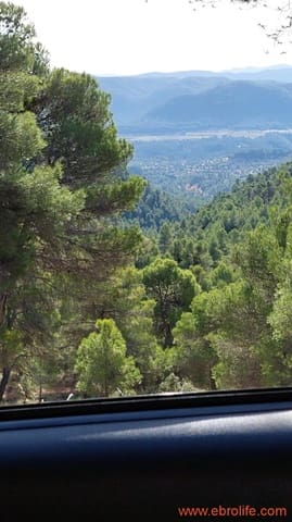 1 Zimmer Finca/Landgut zu verkaufen in Ráfales - 58.000 € (Ref: 9442849)