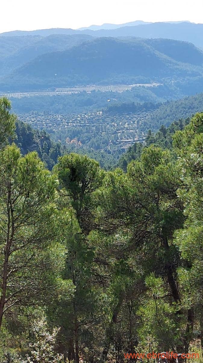 1 Zimmer Finca/Landgut zu verkaufen in Rafales - 58.000 € (Ref: 9442849)