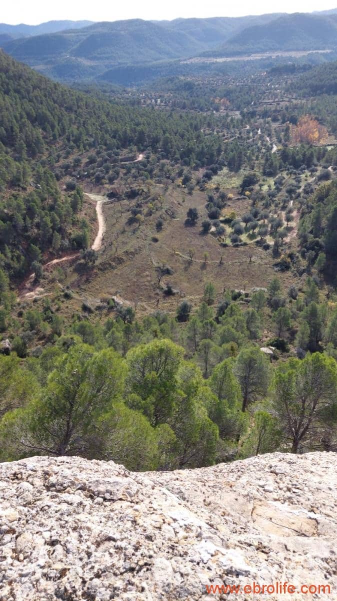 1 Zimmer Finca/Landgut zu verkaufen in Rafales - 58.000 € (Ref: 9442849)