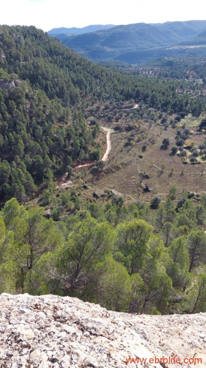 1 Zimmer Finca/Landgut zu verkaufen in Rafales - 58.000 € (Ref: 9442849)