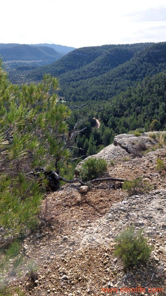 1 Zimmer Finca/Landgut zu verkaufen in Rafales - 58.000 € (Ref: 9442849)