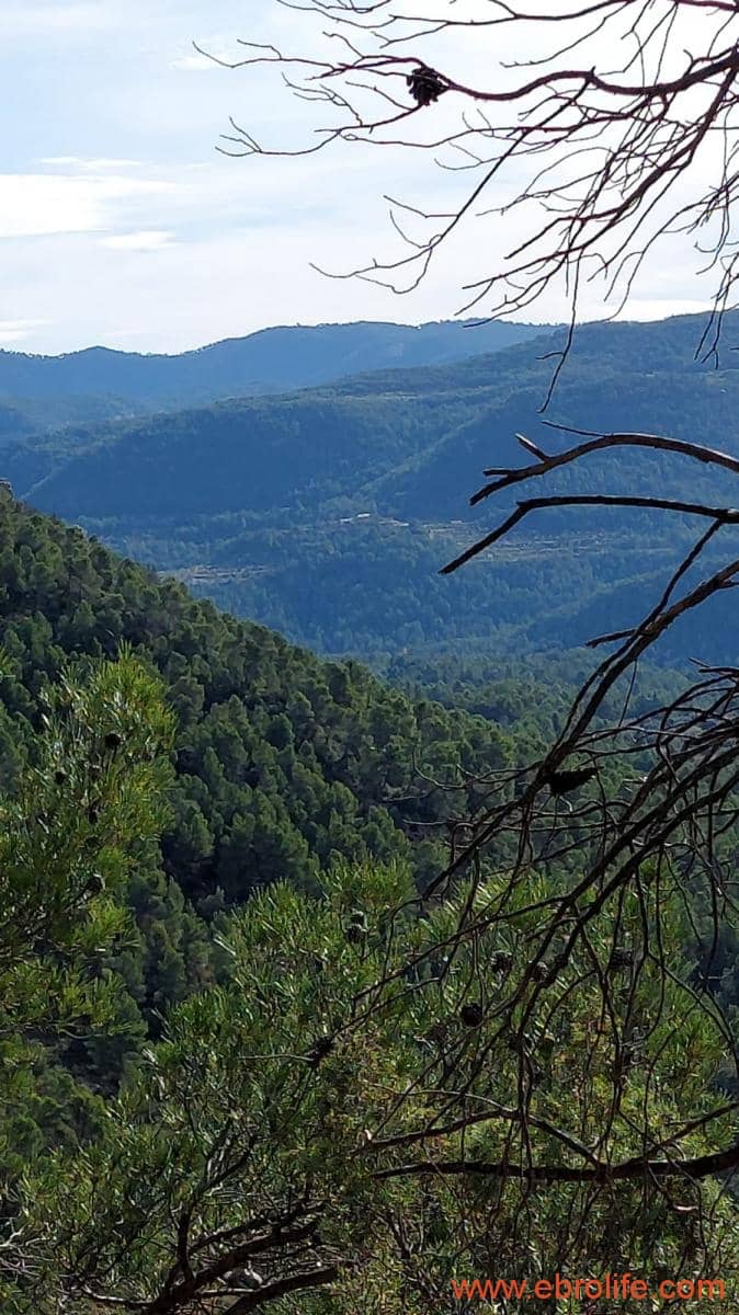 1 Zimmer Finca/Landgut zu verkaufen in Rafales - 58.000 € (Ref: 9442849)