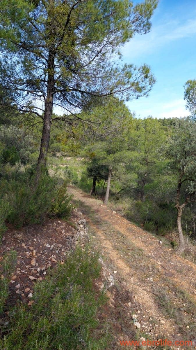 1 Zimmer Finca/Landgut zu verkaufen in Rafales - 58.000 € (Ref: 9442849)