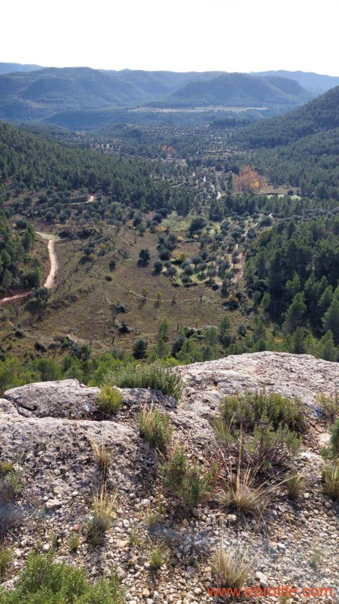 1 Zimmer Finca/Landgut zu verkaufen in Rafales - 58.000 € (Ref: 9442849)