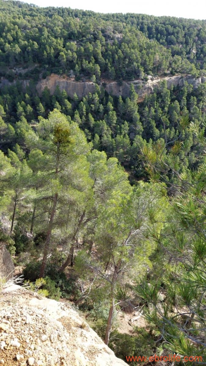 1 Zimmer Finca/Landgut zu verkaufen in Rafales - 58.000 € (Ref: 9442849)