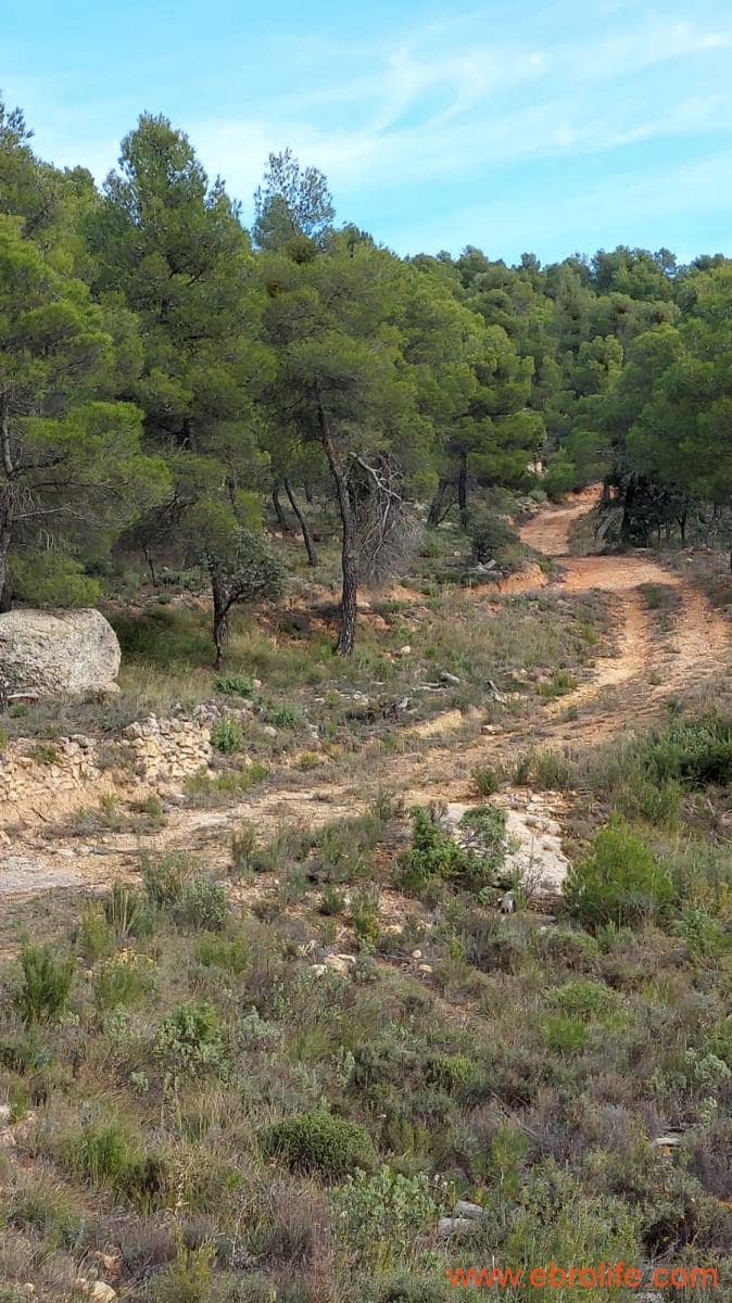 1 Zimmer Finca/Landgut zu verkaufen in Rafales - 58.000 € (Ref: 9442849)