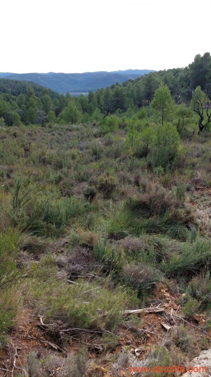 1 Zimmer Finca/Landgut zu verkaufen in Rafales - 58.000 € (Ref: 9442849)