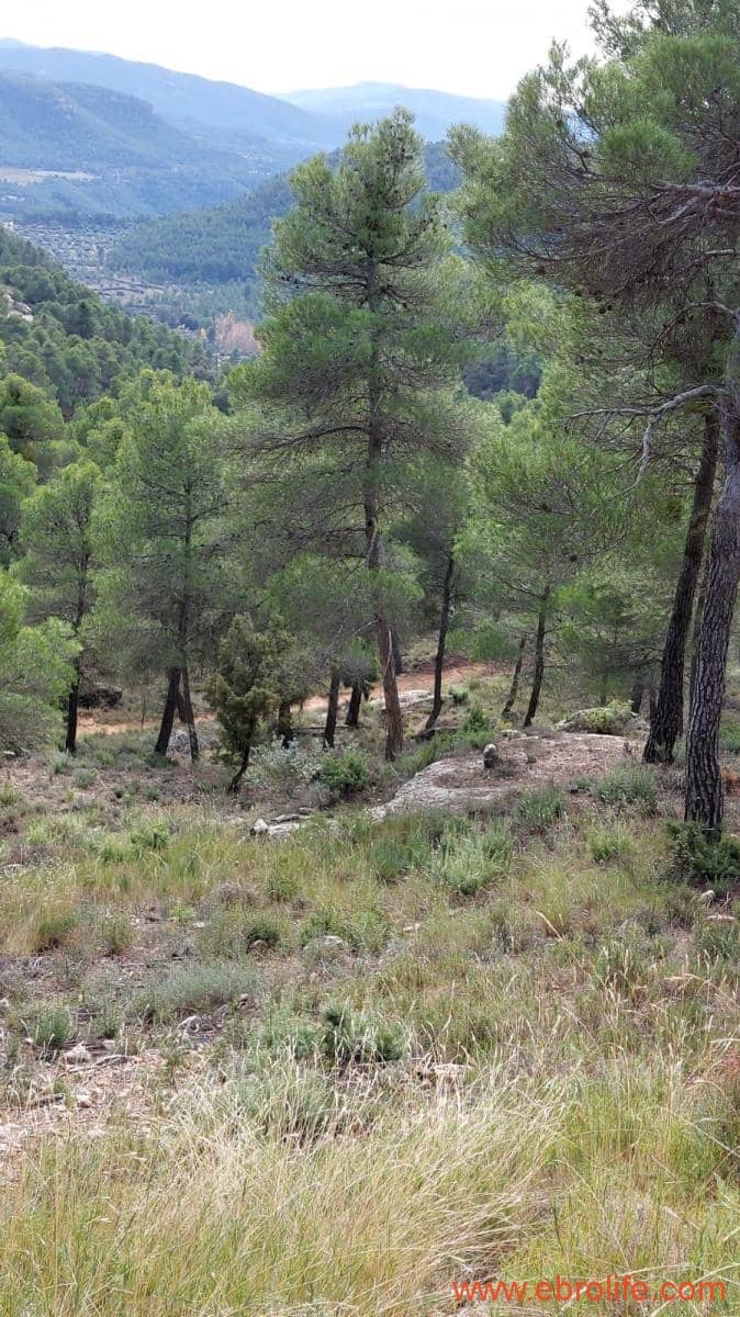 1 Zimmer Finca/Landgut zu verkaufen in Rafales - 58.000 € (Ref: 9442849)