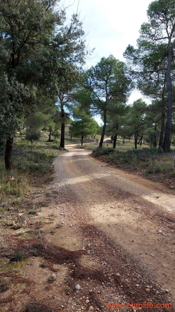 1 Zimmer Finca/Landgut zu verkaufen in Rafales - 58.000 € (Ref: 9442849)