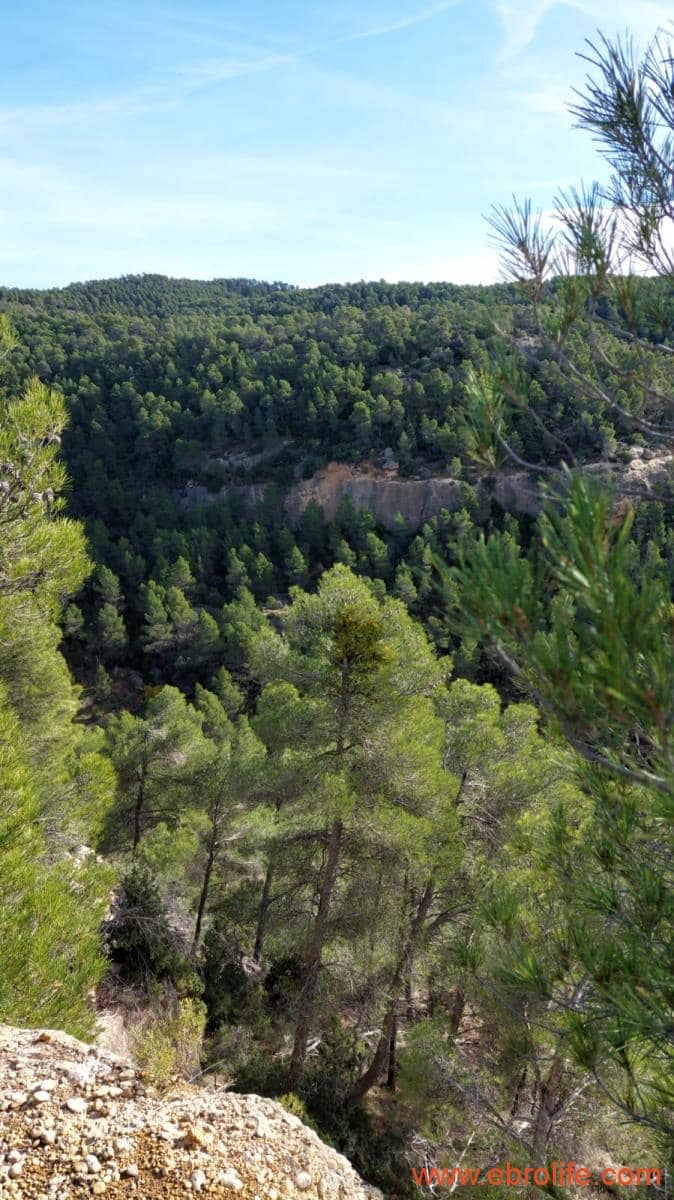 1 Zimmer Finca/Landgut zu verkaufen in Rafales - 58.000 € (Ref: 9442849)