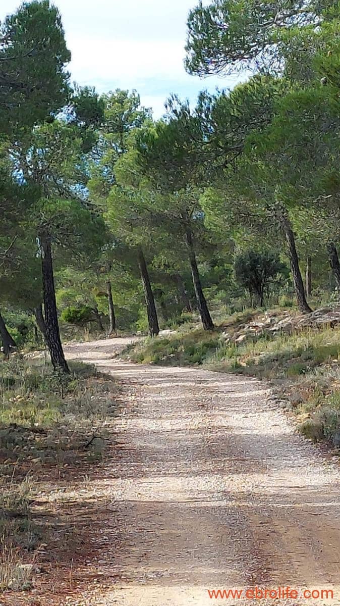 1 Zimmer Finca/Landgut zu verkaufen in Rafales - 58.000 € (Ref: 9442849)