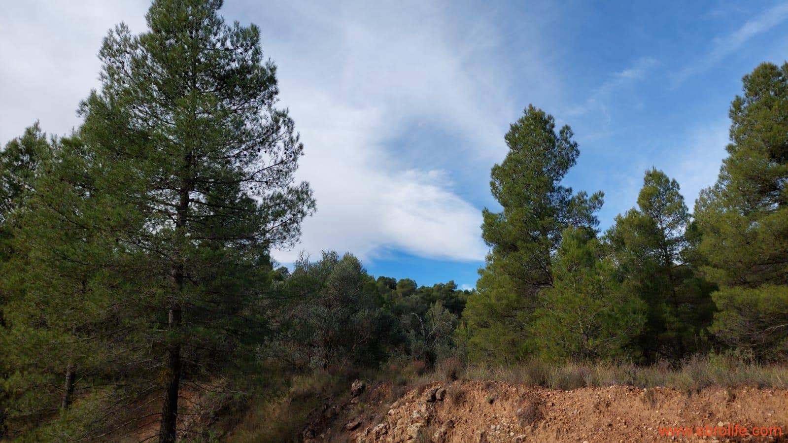 1 Zimmer Finca/Landgut zu verkaufen in Rafales - 58.000 € (Ref: 9442849)