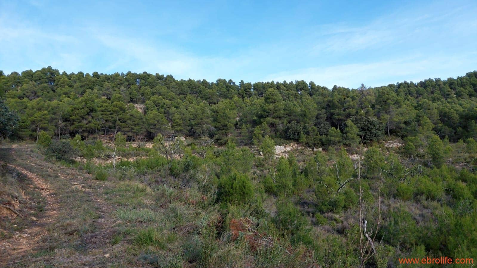 1 Zimmer Finca/Landgut zu verkaufen in Rafales - 58.000 € (Ref: 9442849)