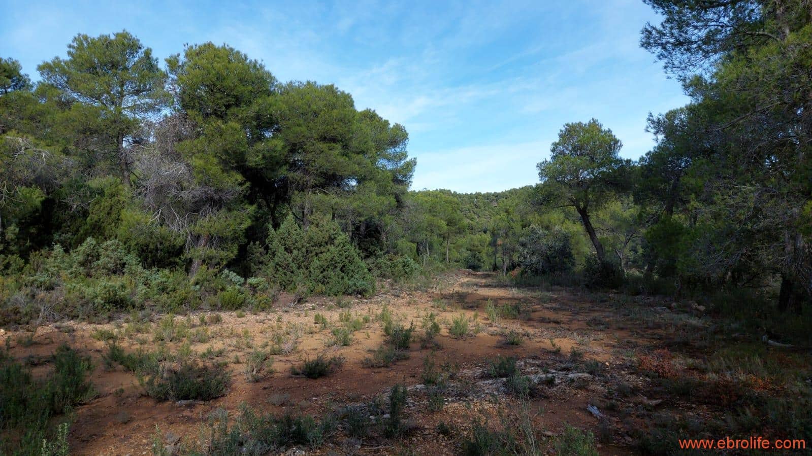 1 Zimmer Finca/Landgut zu verkaufen in Rafales - 58.000 € (Ref: 9442849)