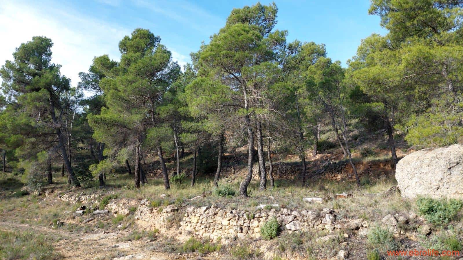 1 Zimmer Finca/Landgut zu verkaufen in Rafales - 58.000 € (Ref: 9442849)