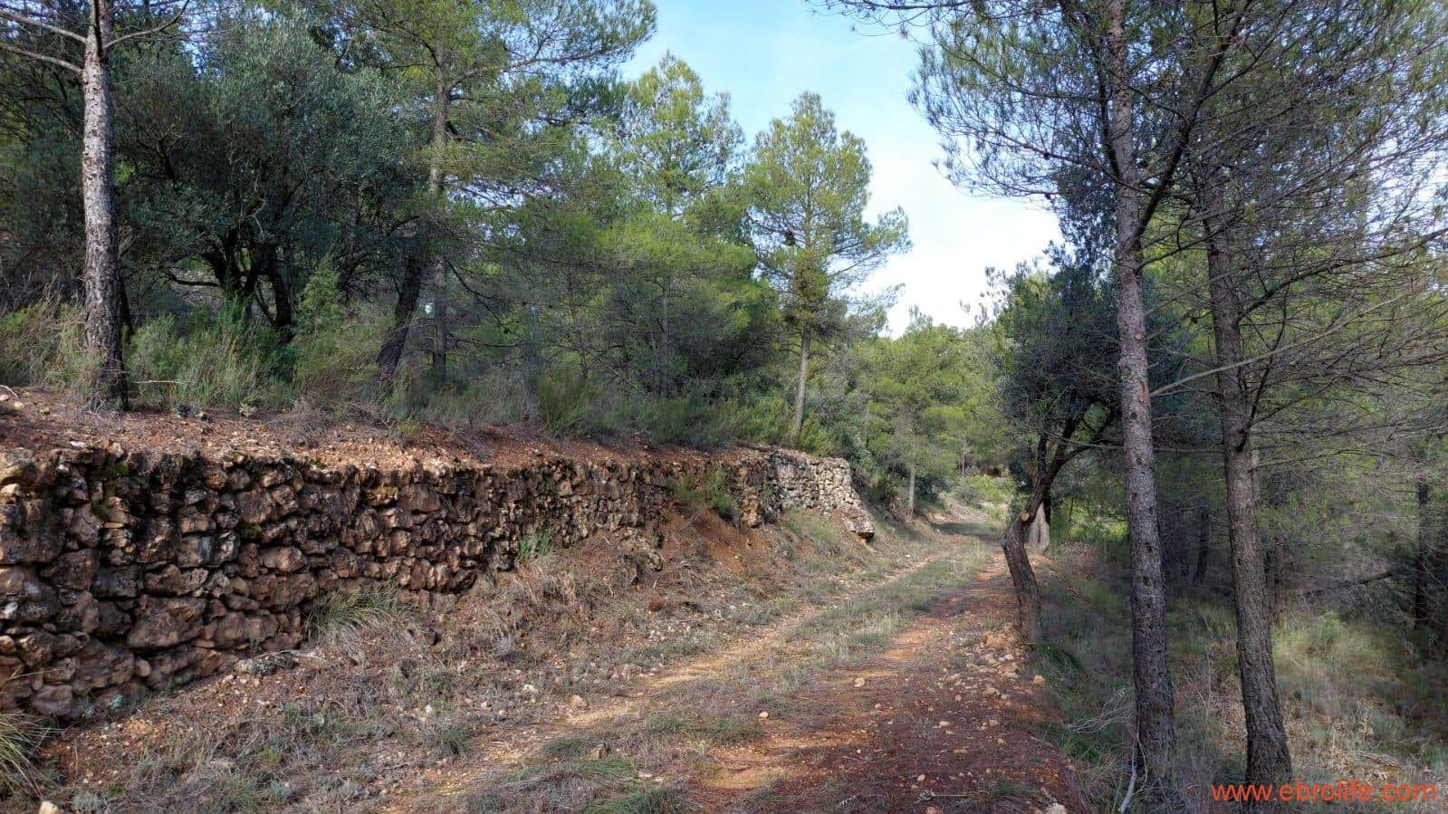 1 Zimmer Finca/Landgut zu verkaufen in Rafales - 58.000 € (Ref: 9442849)