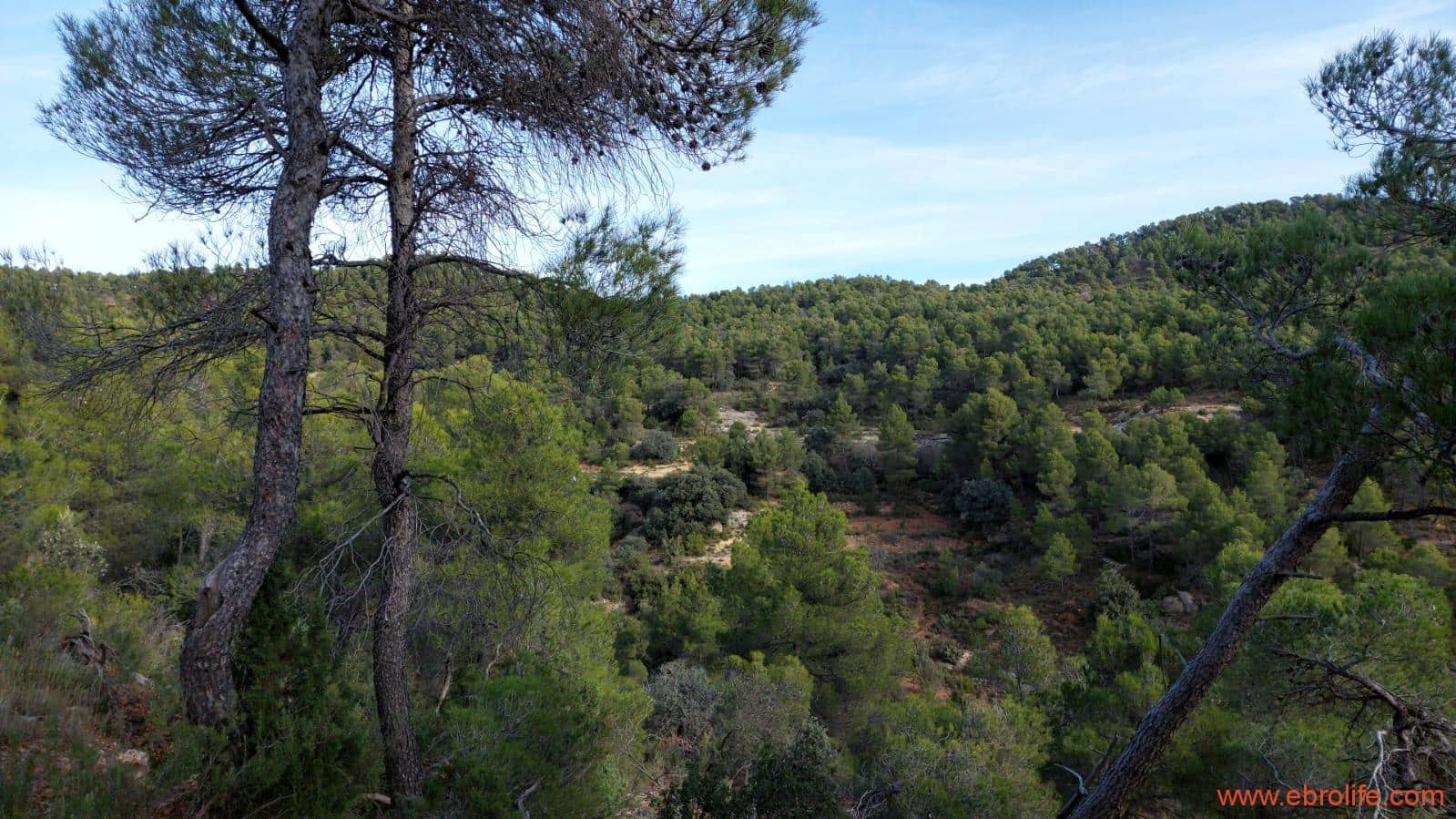 1 Zimmer Finca/Landgut zu verkaufen in Rafales - 58.000 € (Ref: 9442849)