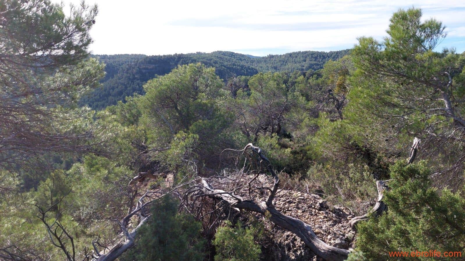 1 Zimmer Finca/Landgut zu verkaufen in Rafales - 58.000 € (Ref: 9442849)