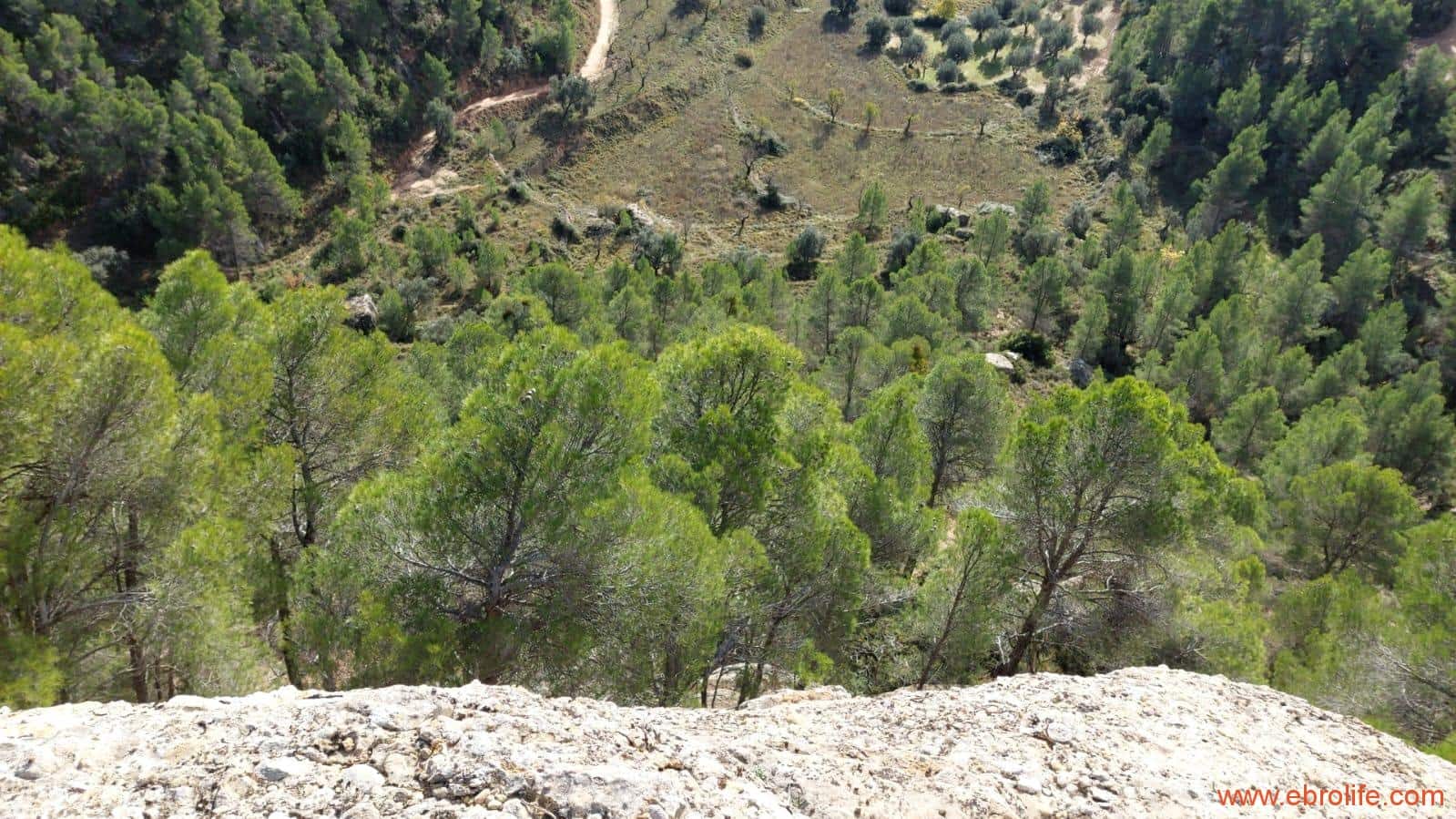 1 Zimmer Finca/Landgut zu verkaufen in Rafales - 58.000 € (Ref: 9442849)