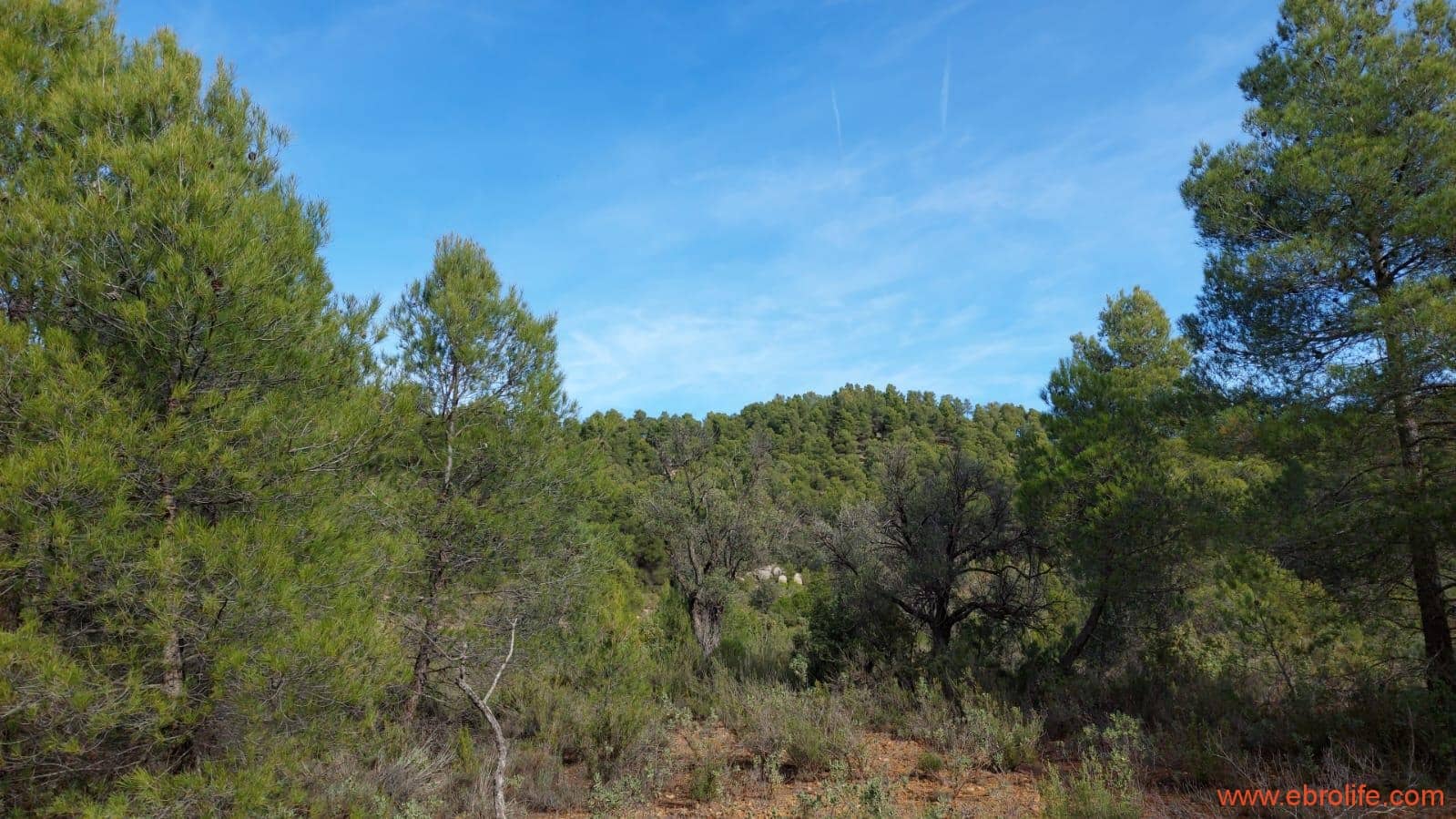 1 Zimmer Finca/Landgut zu verkaufen in Rafales - 58.000 € (Ref: 9442849)