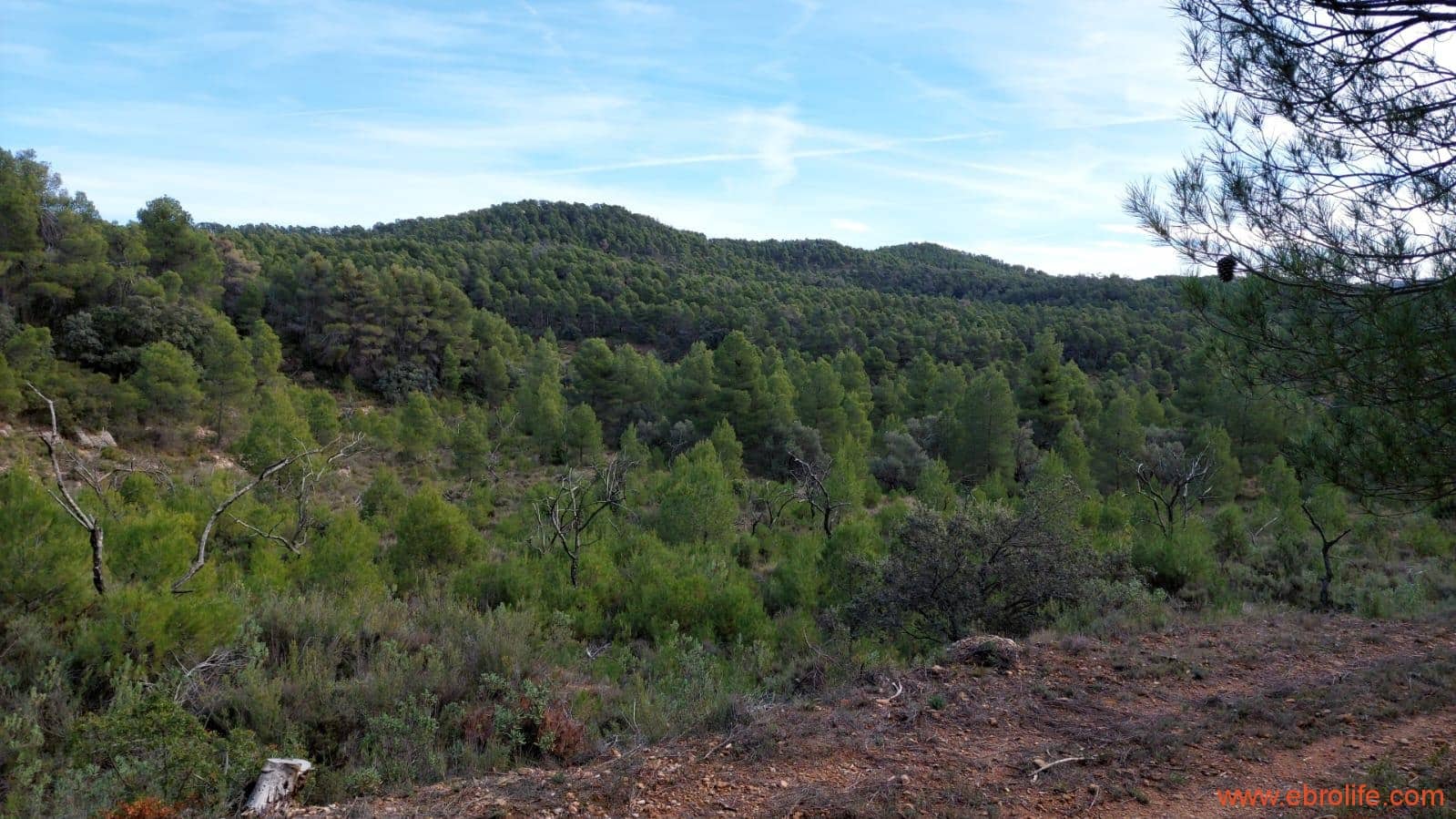 1 Zimmer Finca/Landgut zu verkaufen in Rafales - 58.000 € (Ref: 9442849)