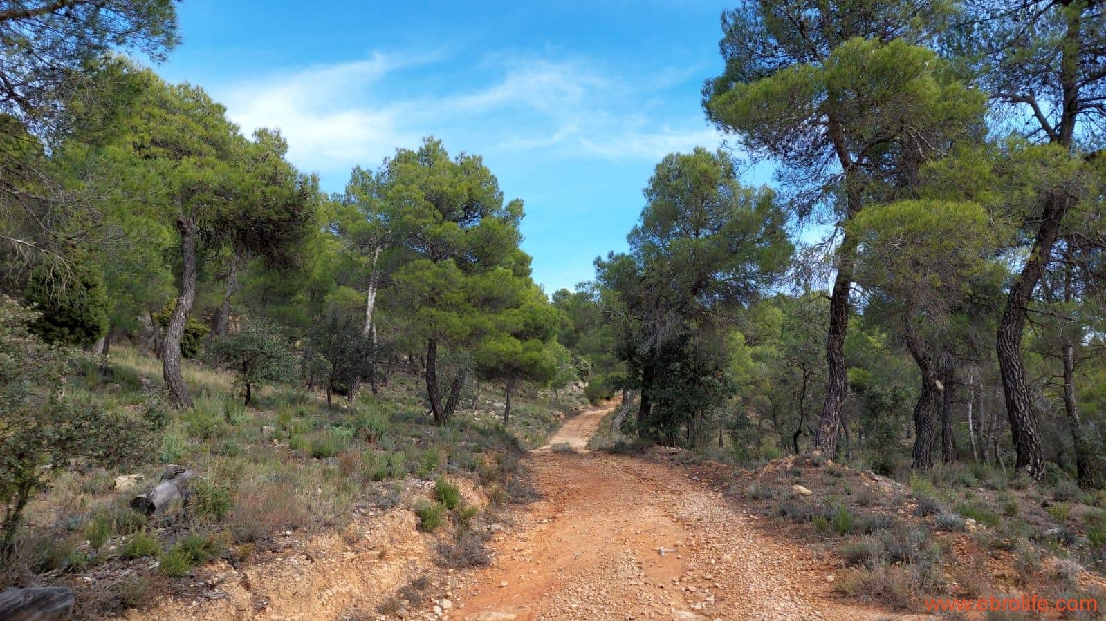 1 Zimmer Finca/Landgut zu verkaufen in Rafales - 58.000 € (Ref: 9442849)