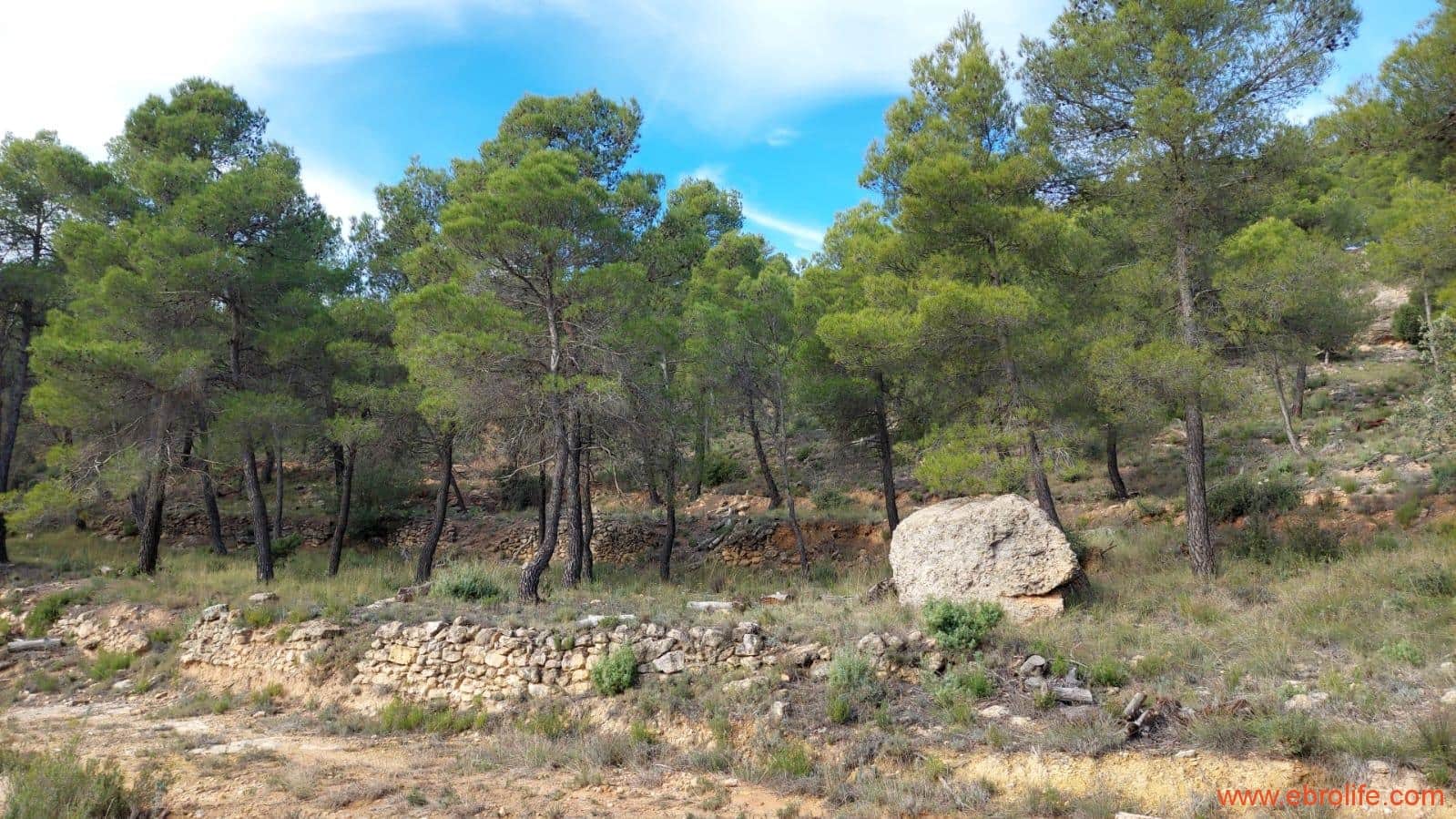 1 Zimmer Finca/Landgut zu verkaufen in Rafales - 58.000 € (Ref: 9442849)