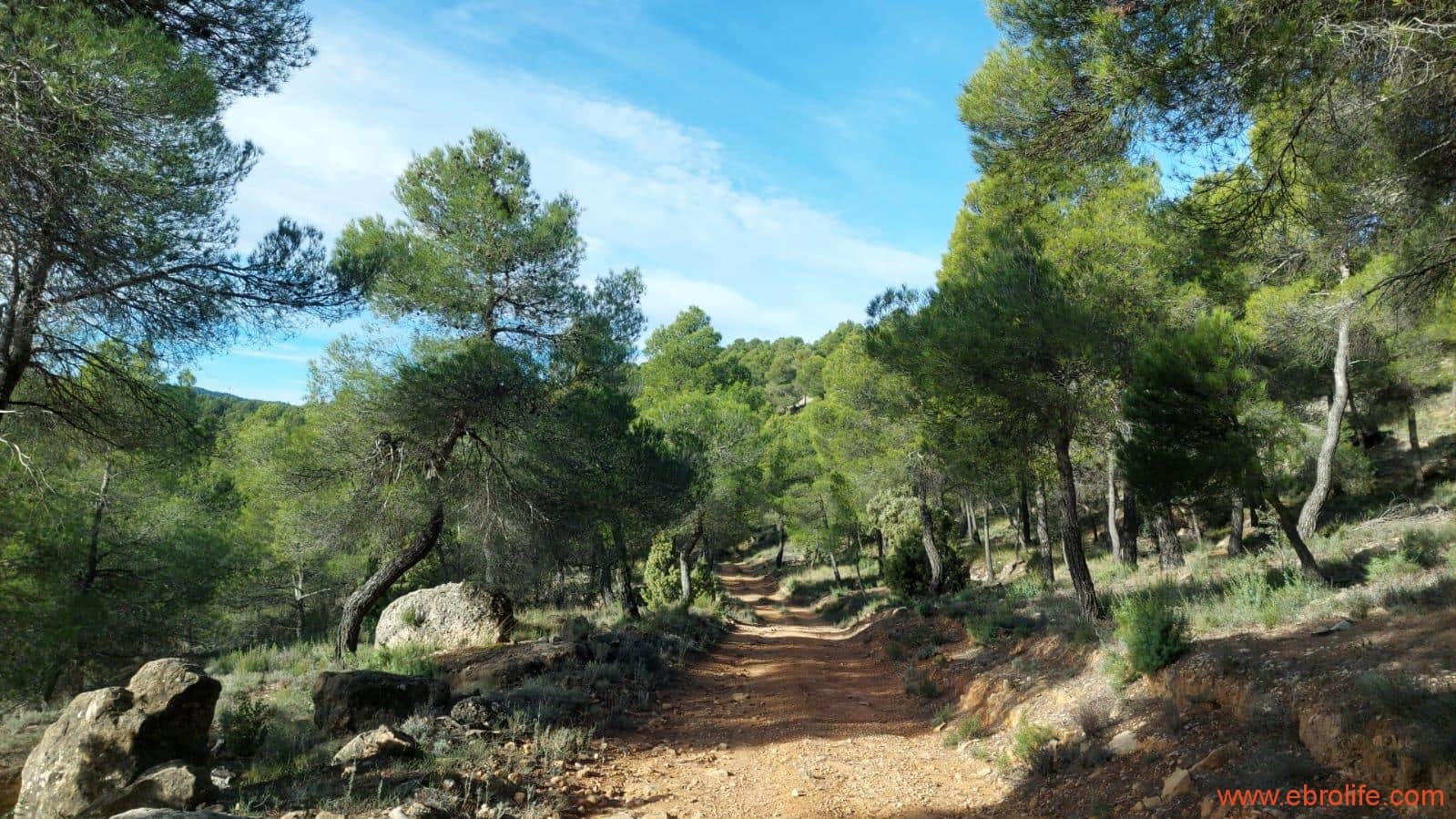 1 Zimmer Finca/Landgut zu verkaufen in Rafales - 58.000 € (Ref: 9442849)