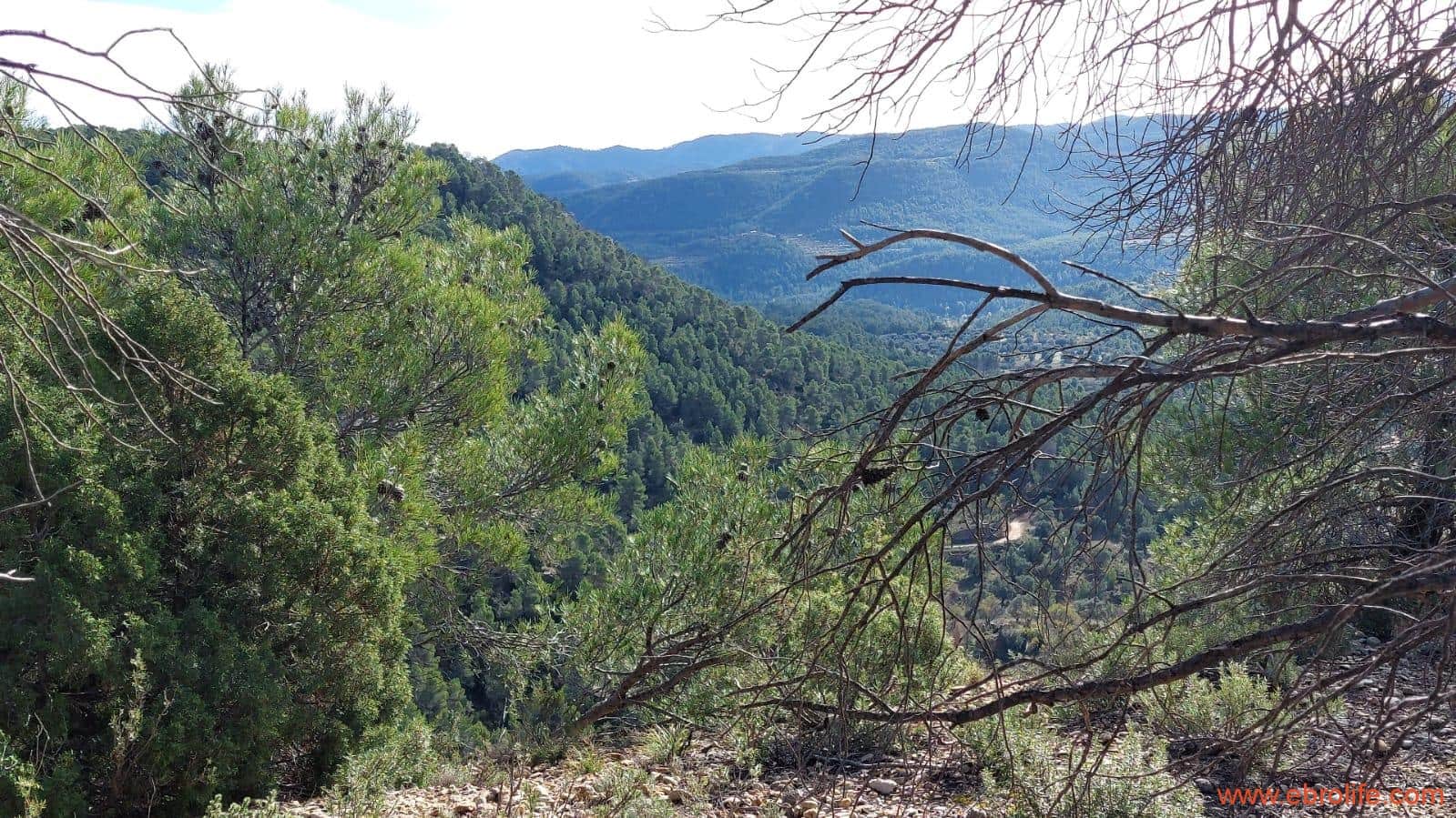 1 Zimmer Finca/Landgut zu verkaufen in Rafales - 58.000 € (Ref: 9442849)