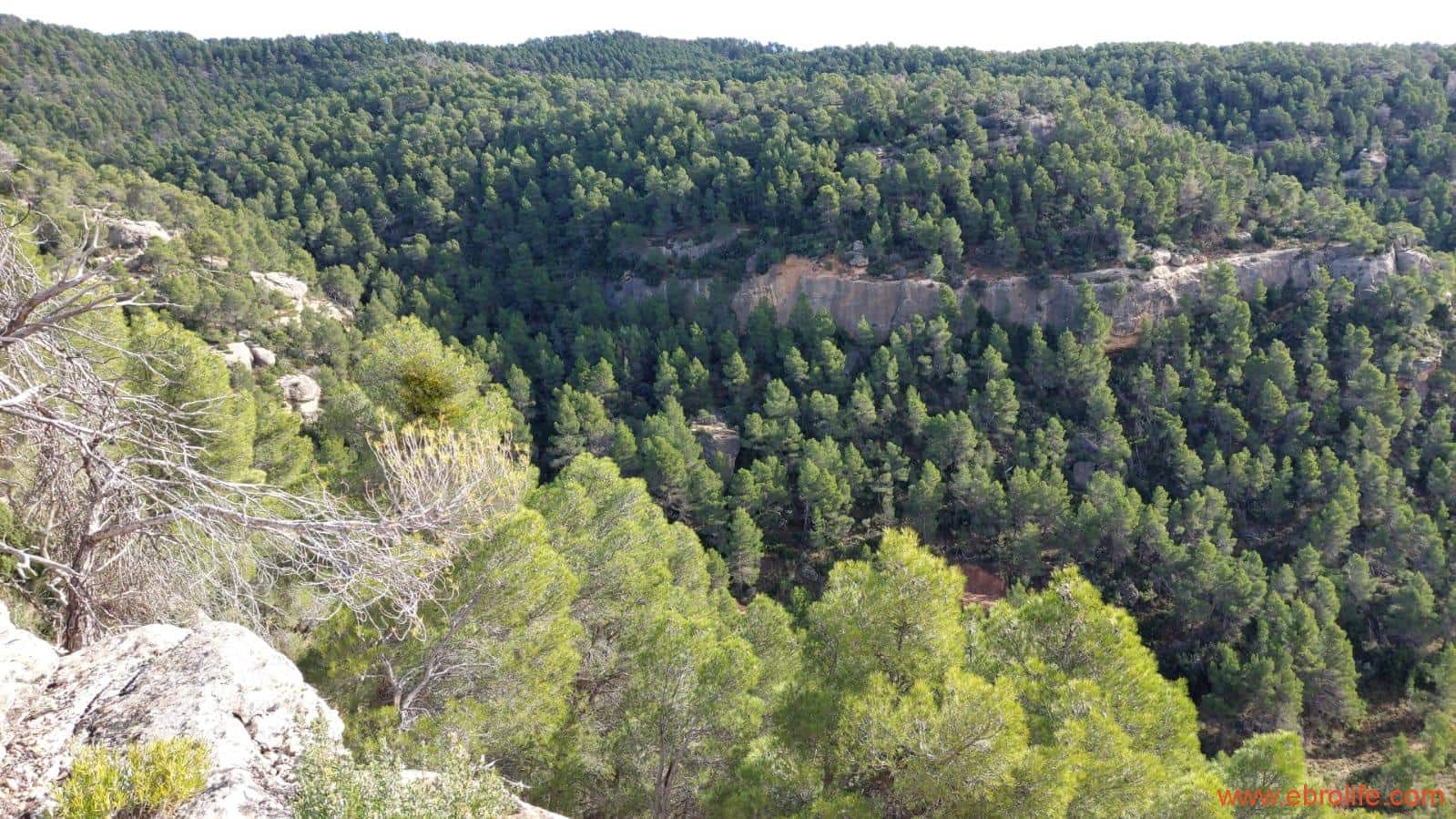 1 Zimmer Finca/Landgut zu verkaufen in Rafales - 58.000 € (Ref: 9442849)