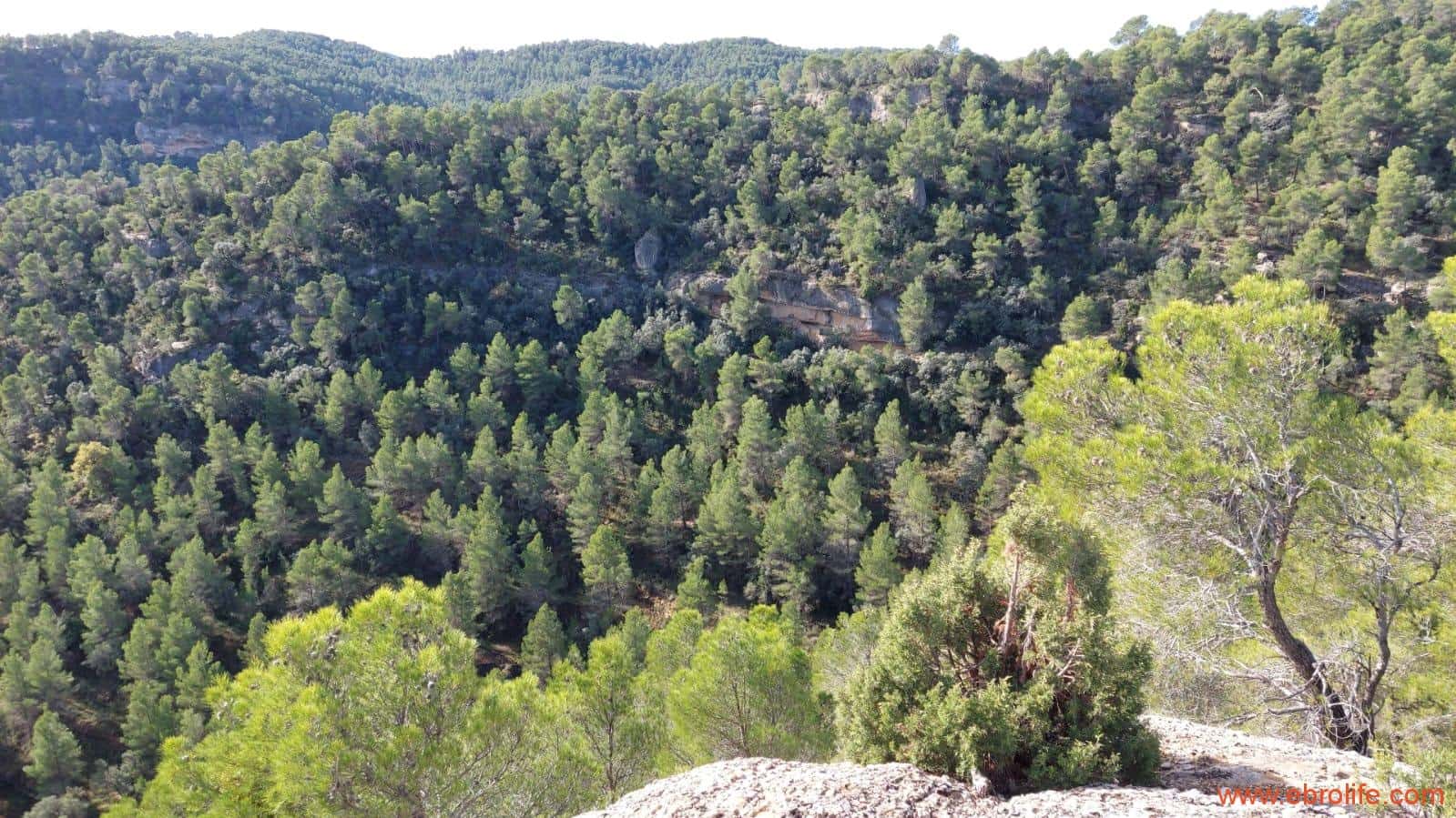 1 Zimmer Finca/Landgut zu verkaufen in Rafales - 58.000 € (Ref: 9442849)