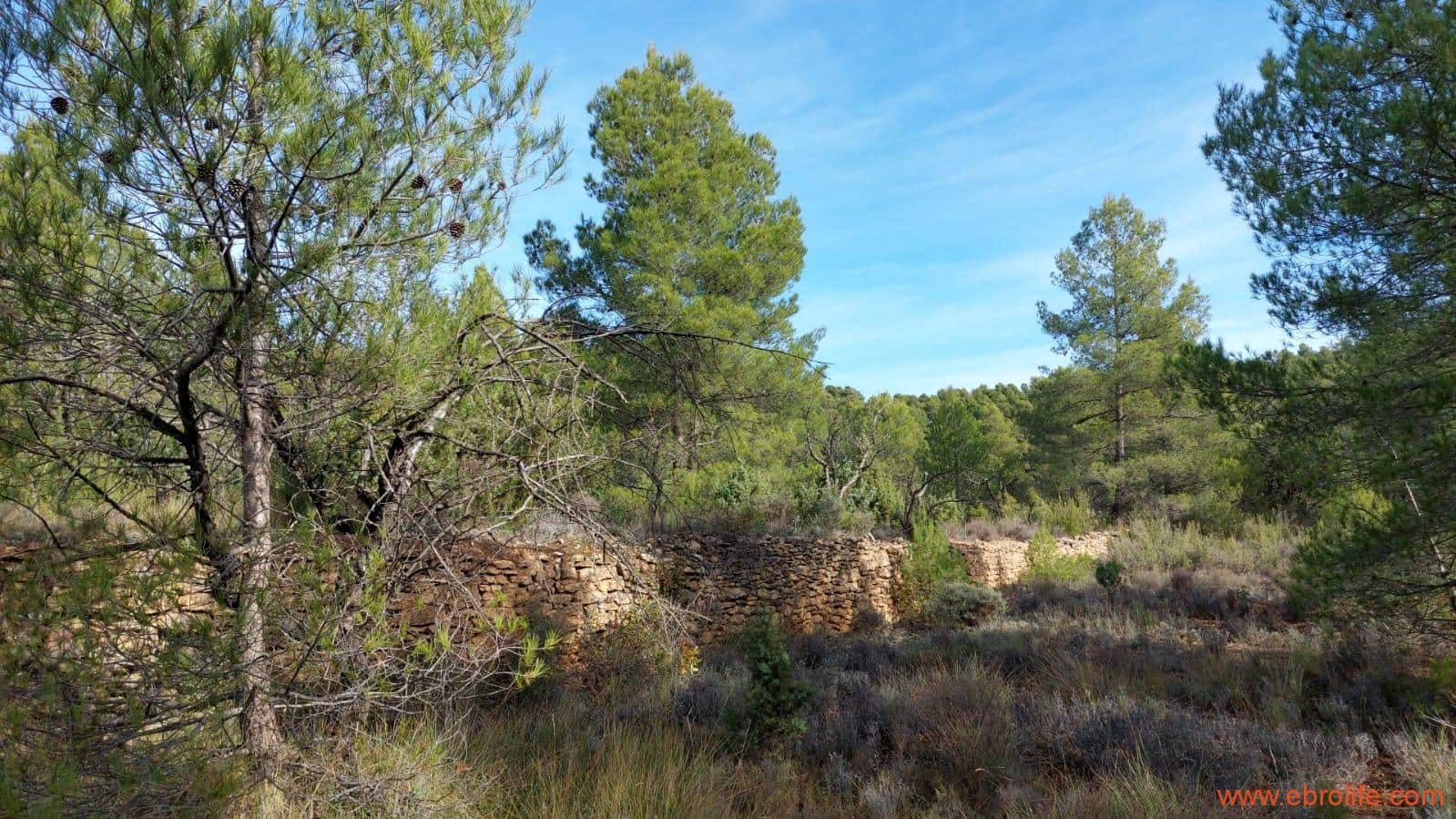 1 Zimmer Finca/Landgut zu verkaufen in Rafales - 58.000 € (Ref: 9442849)