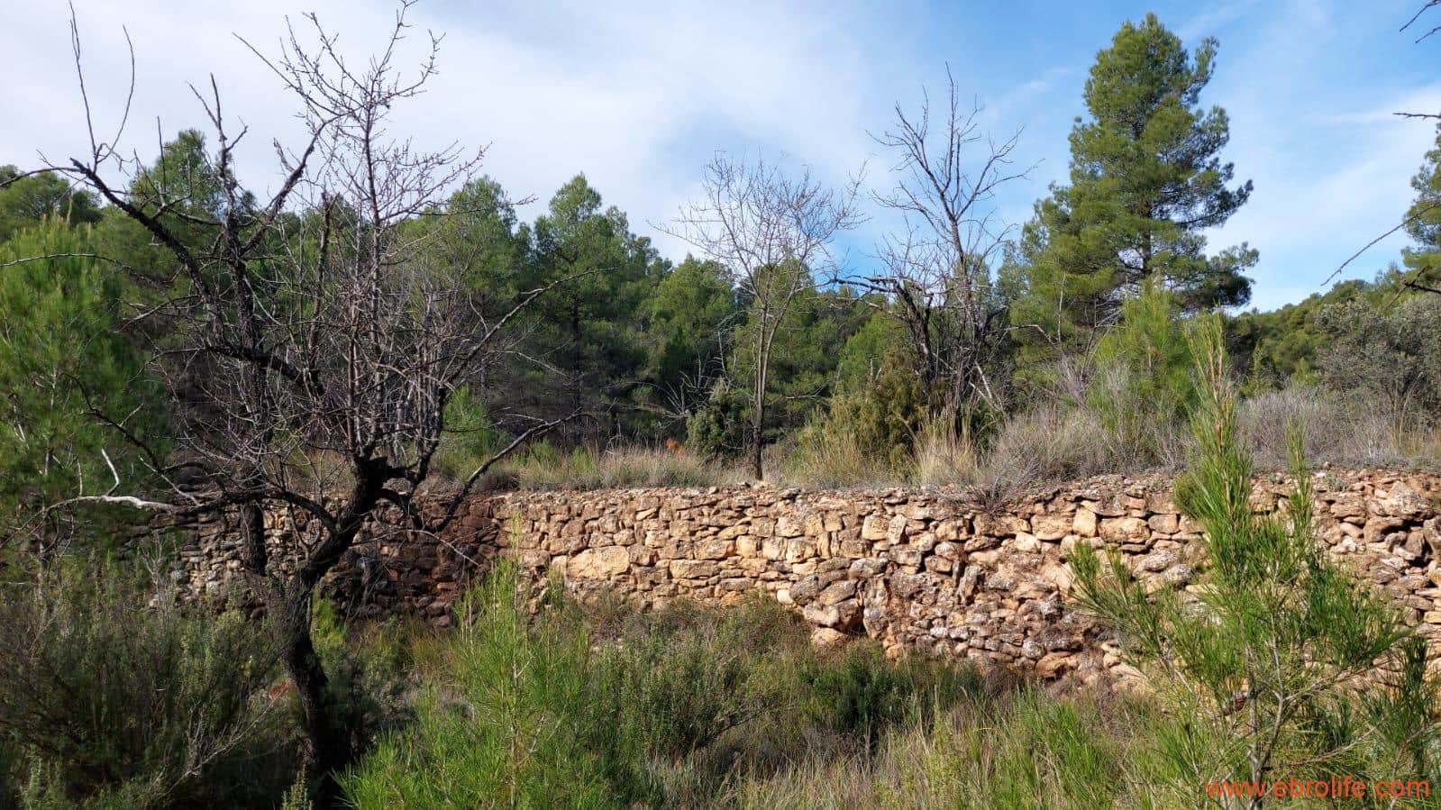 1 Zimmer Finca/Landgut zu verkaufen in Rafales - 58.000 € (Ref: 9442849)