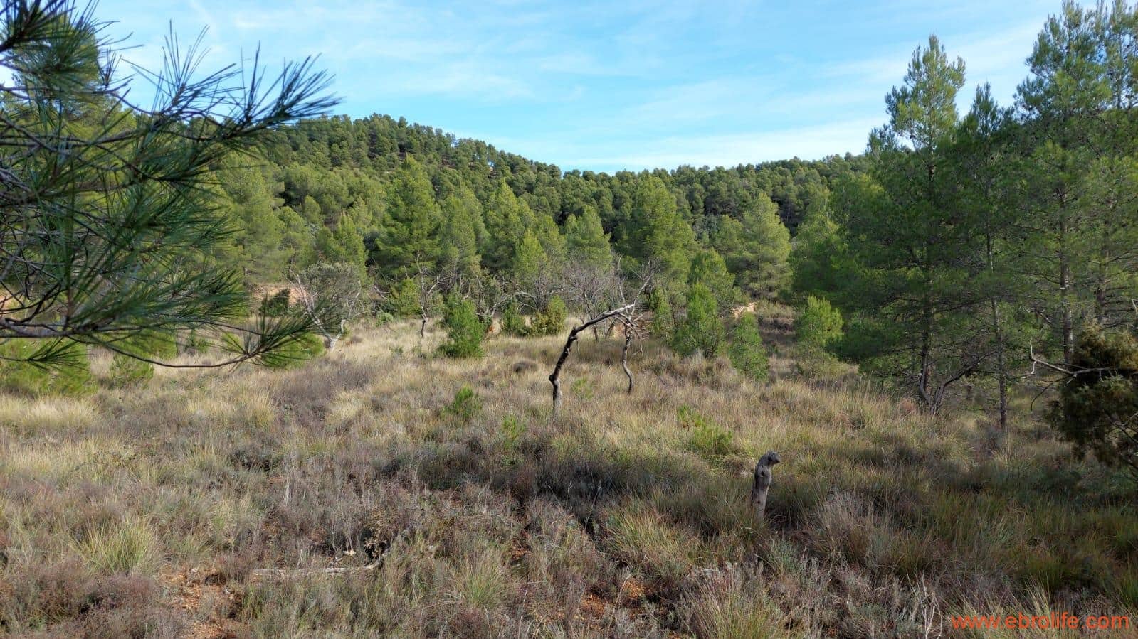 1 Zimmer Finca/Landgut zu verkaufen in Rafales - 58.000 € (Ref: 9442849)