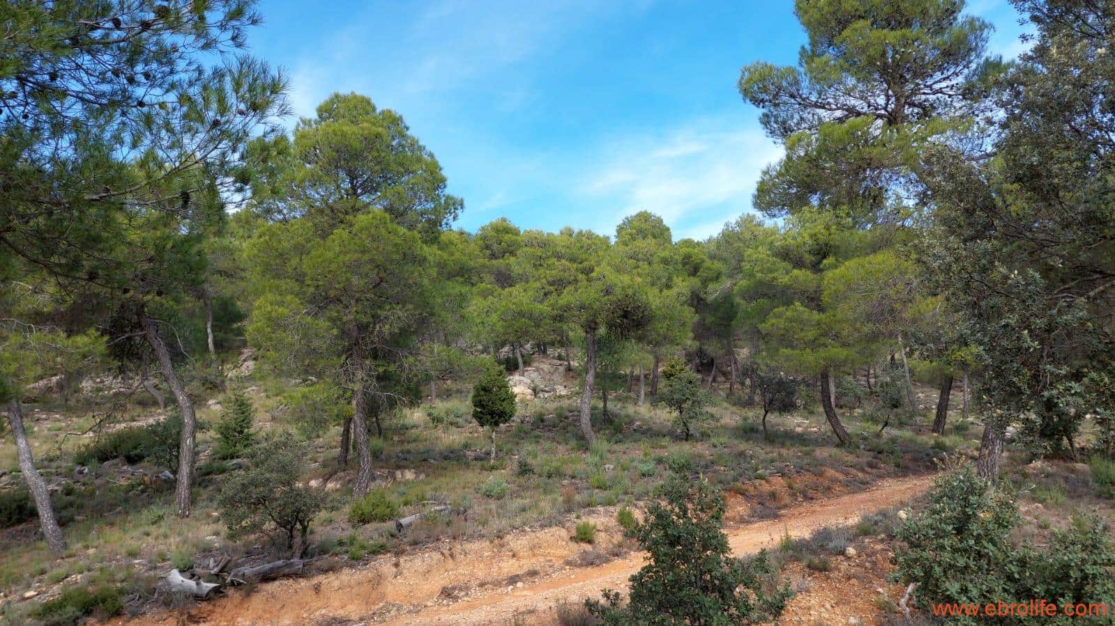 1 Zimmer Finca/Landgut zu verkaufen in Rafales - 58.000 € (Ref: 9442849)