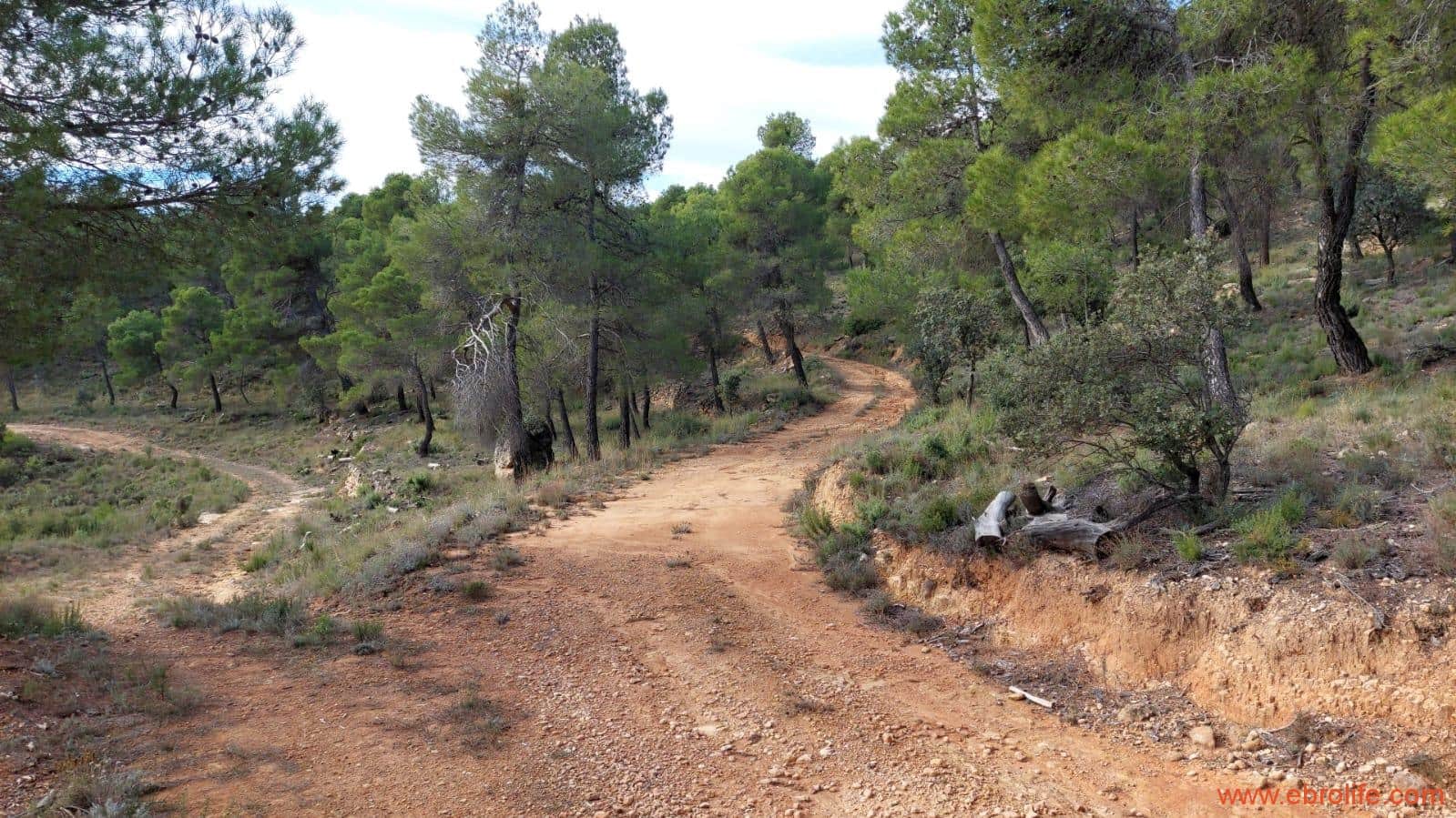 1 Zimmer Finca/Landgut zu verkaufen in Rafales - 58.000 € (Ref: 9442849)