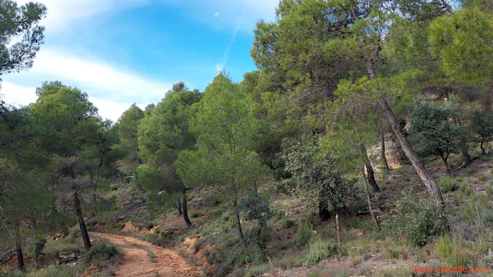 1 Zimmer Finca/Landgut zu verkaufen in Rafales - 58.000 € (Ref: 9442849)