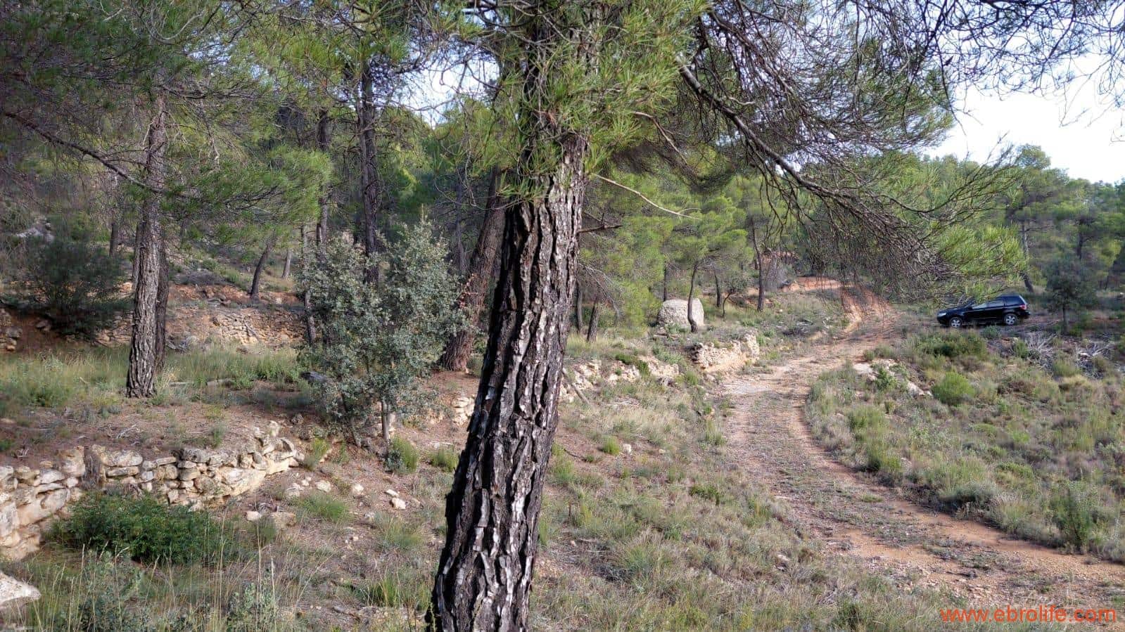 1 Zimmer Finca/Landgut zu verkaufen in Rafales - 58.000 € (Ref: 9442849)