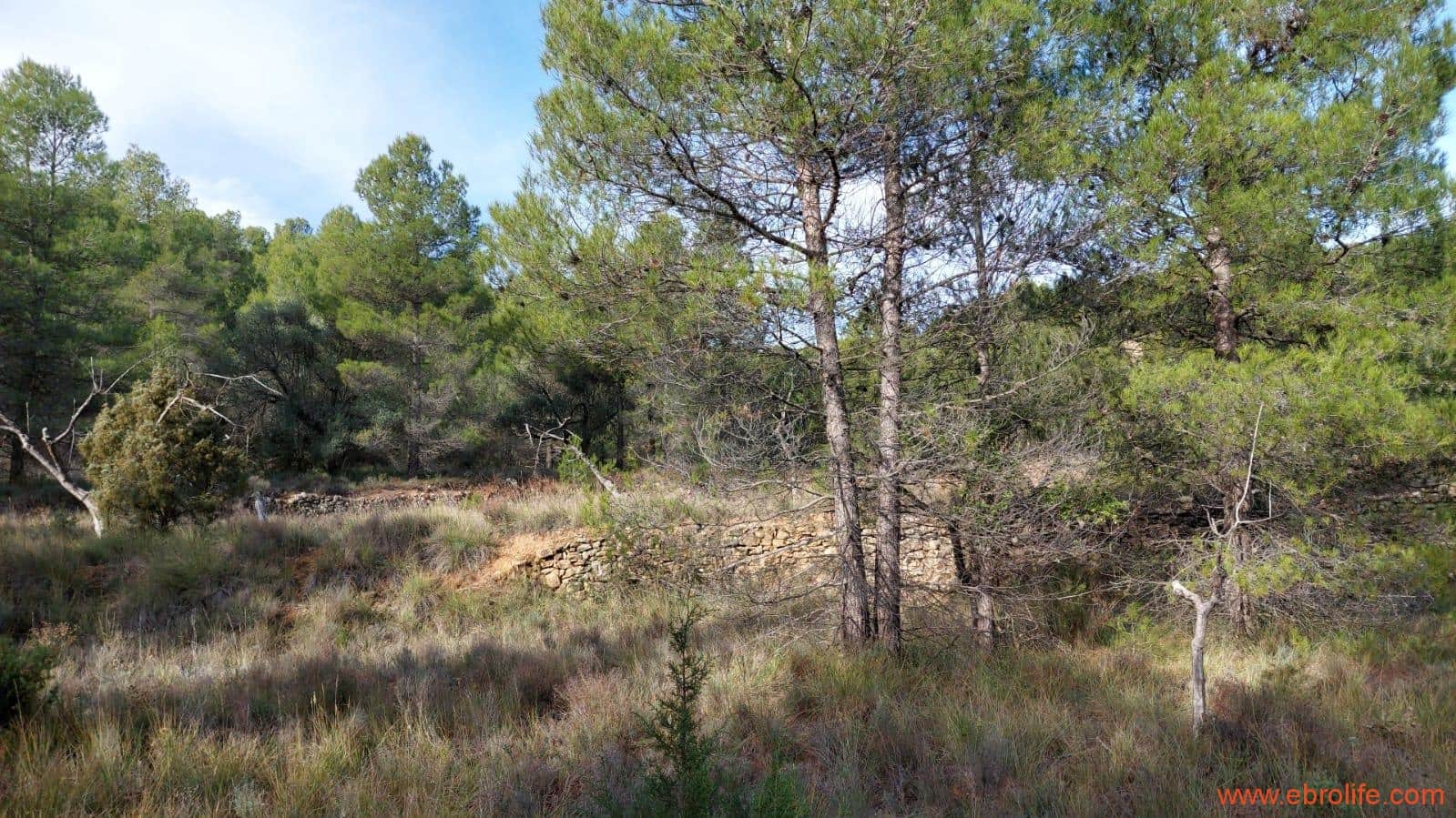 1 Zimmer Finca/Landgut zu verkaufen in Rafales - 58.000 € (Ref: 9442849)