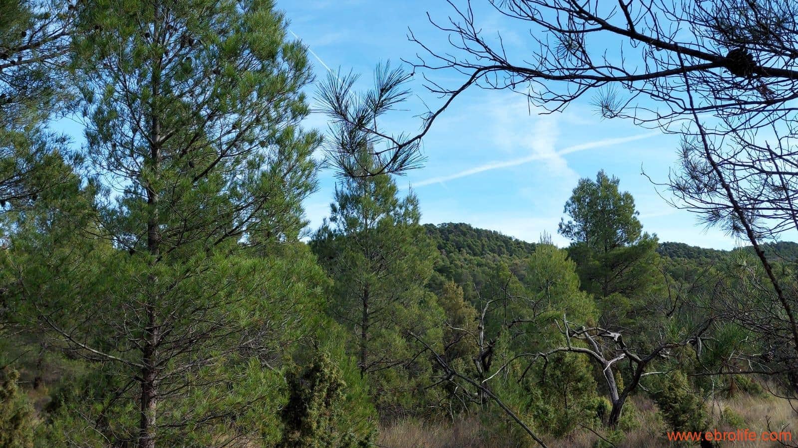 1 Zimmer Finca/Landgut zu verkaufen in Rafales - 58.000 € (Ref: 9442849)