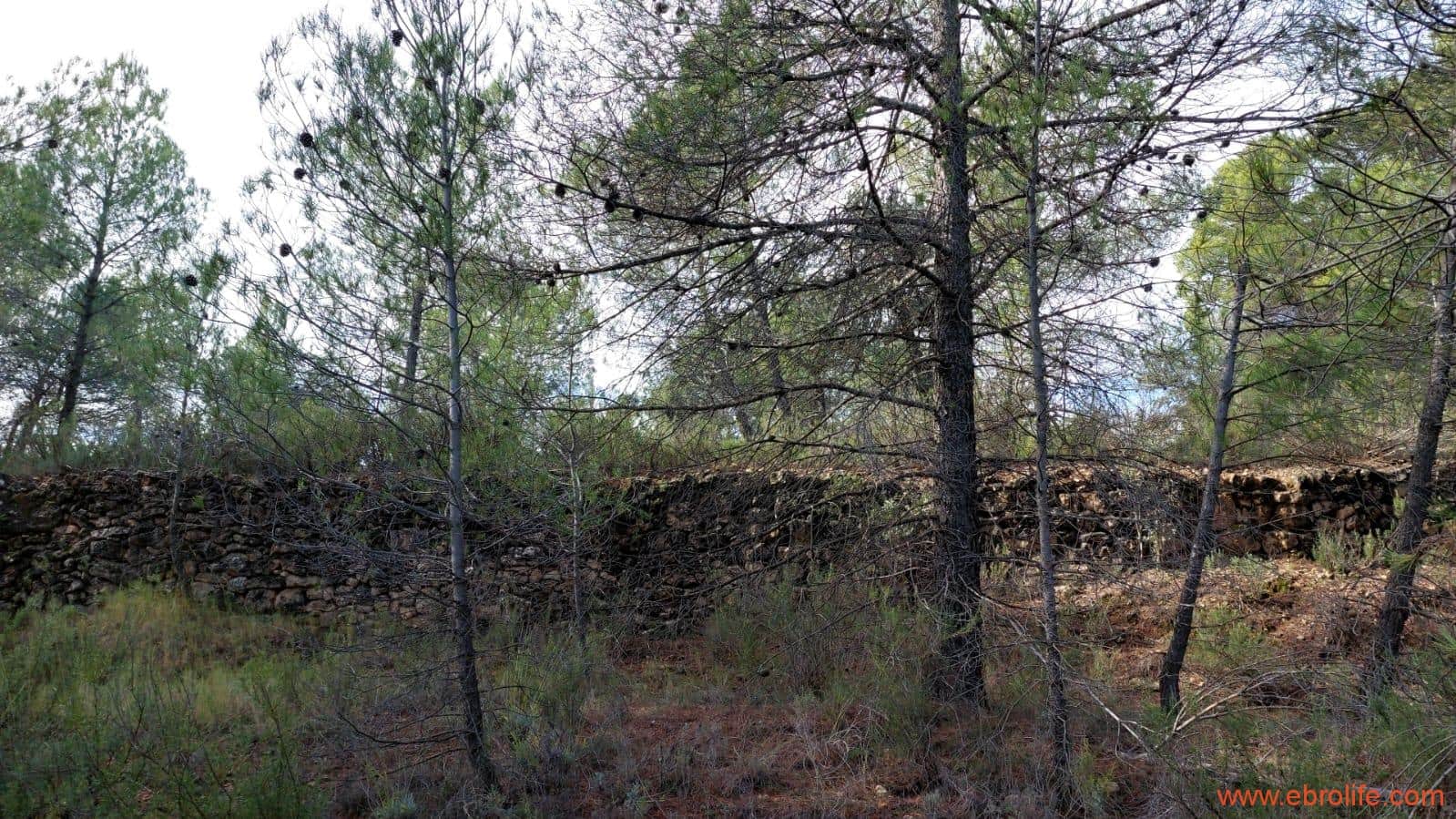 1 Zimmer Finca/Landgut zu verkaufen in Rafales - 58.000 € (Ref: 9442849)