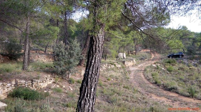 1 Zimmer Finca/Landgut zu verkaufen in Ráfales - 58.000 € (Ref: 9442849)