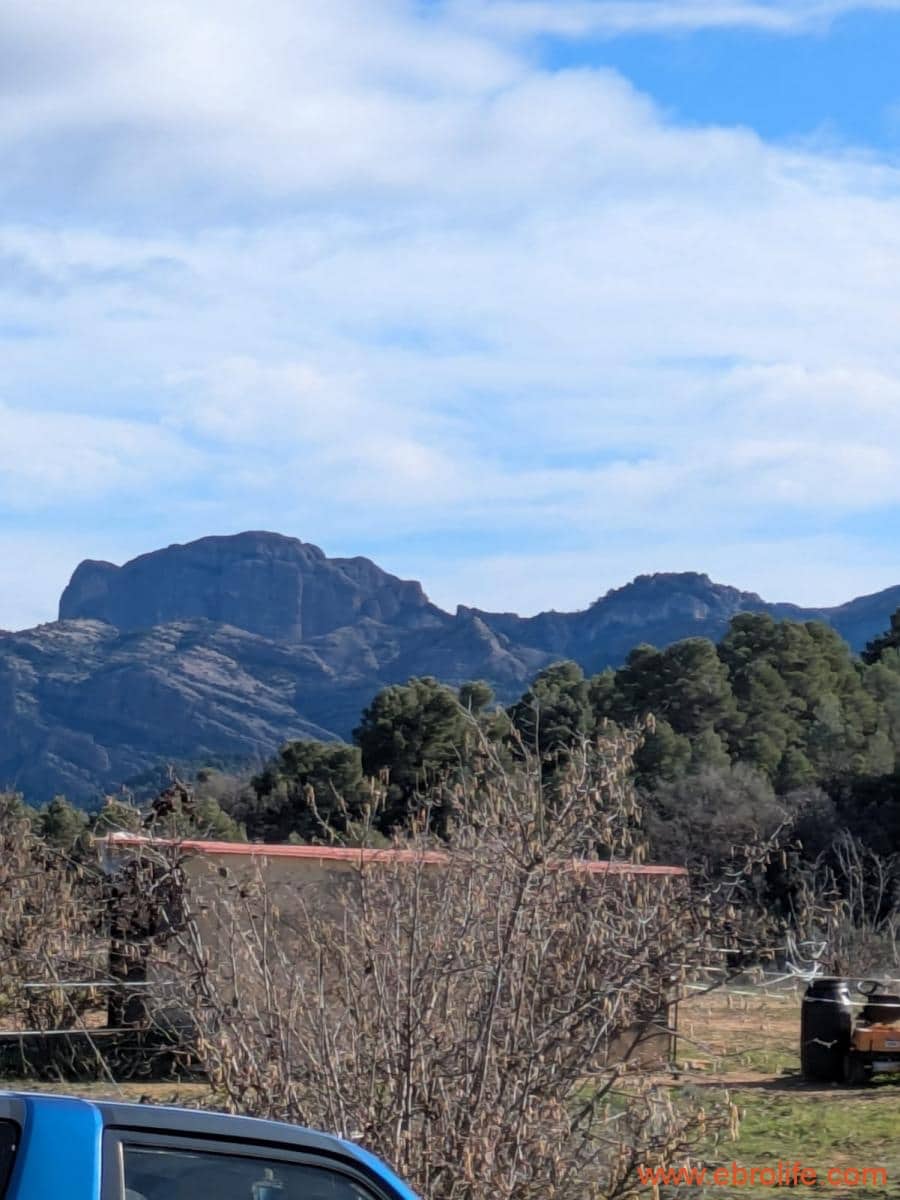 1 slaapkamer Finca/Landhuis te koop in Cretas - € 134.000 (Ref: 9763276)