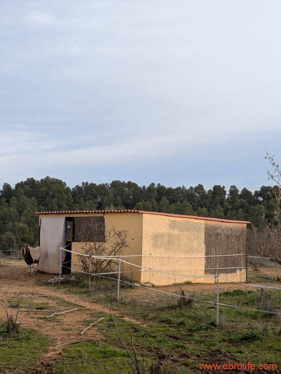 1 slaapkamer Finca/Landhuis te koop in Cretas - € 134.000 (Ref: 9763276)