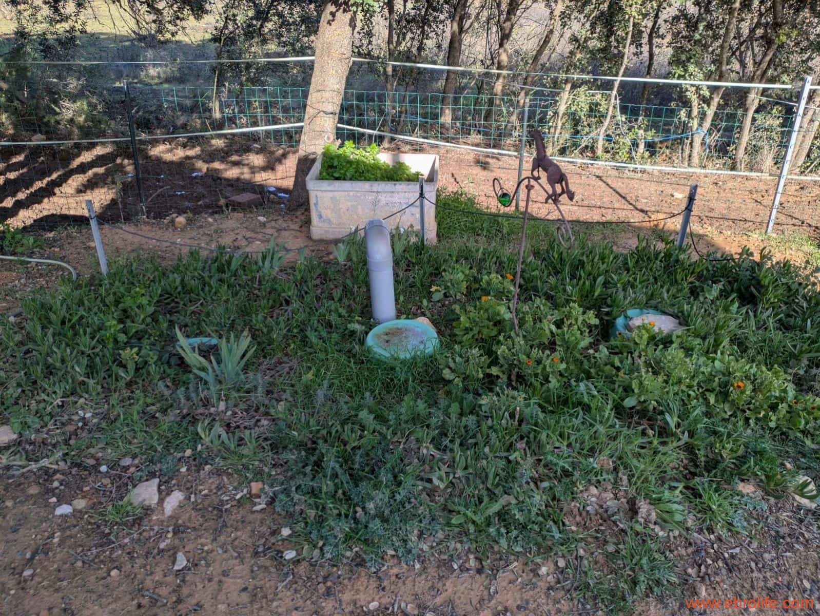 1 slaapkamer Finca/Landhuis te koop in Cretas - € 134.000 (Ref: 9763276)